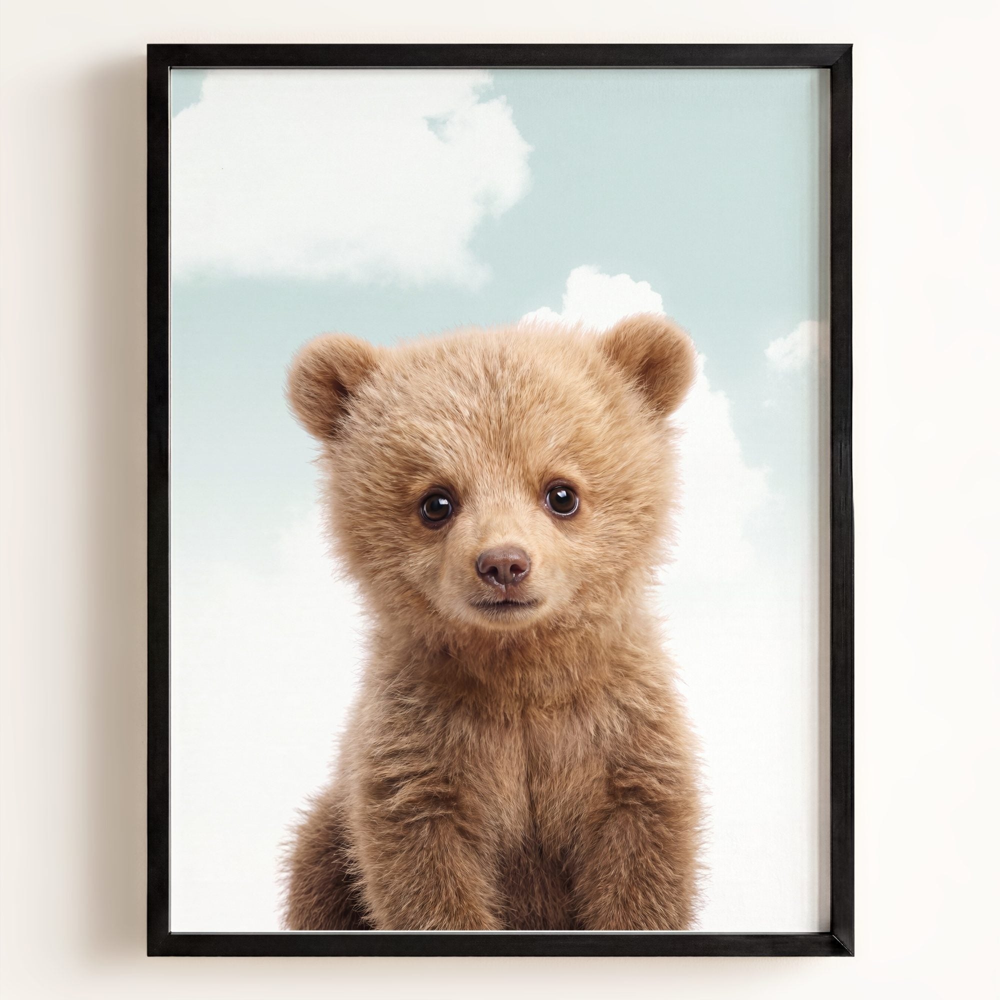 Baby Grizzly Bear