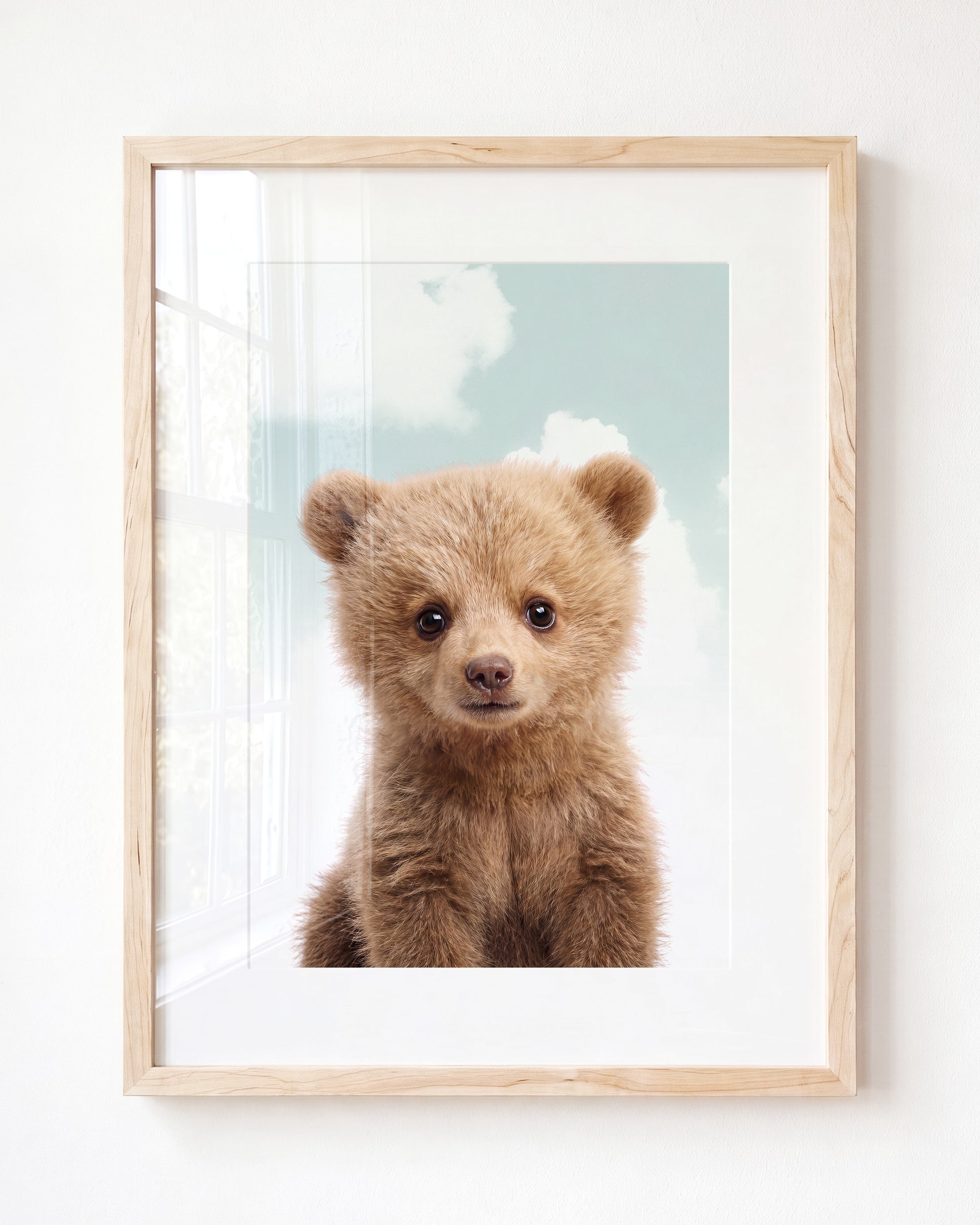 Baby Grizzly Bear