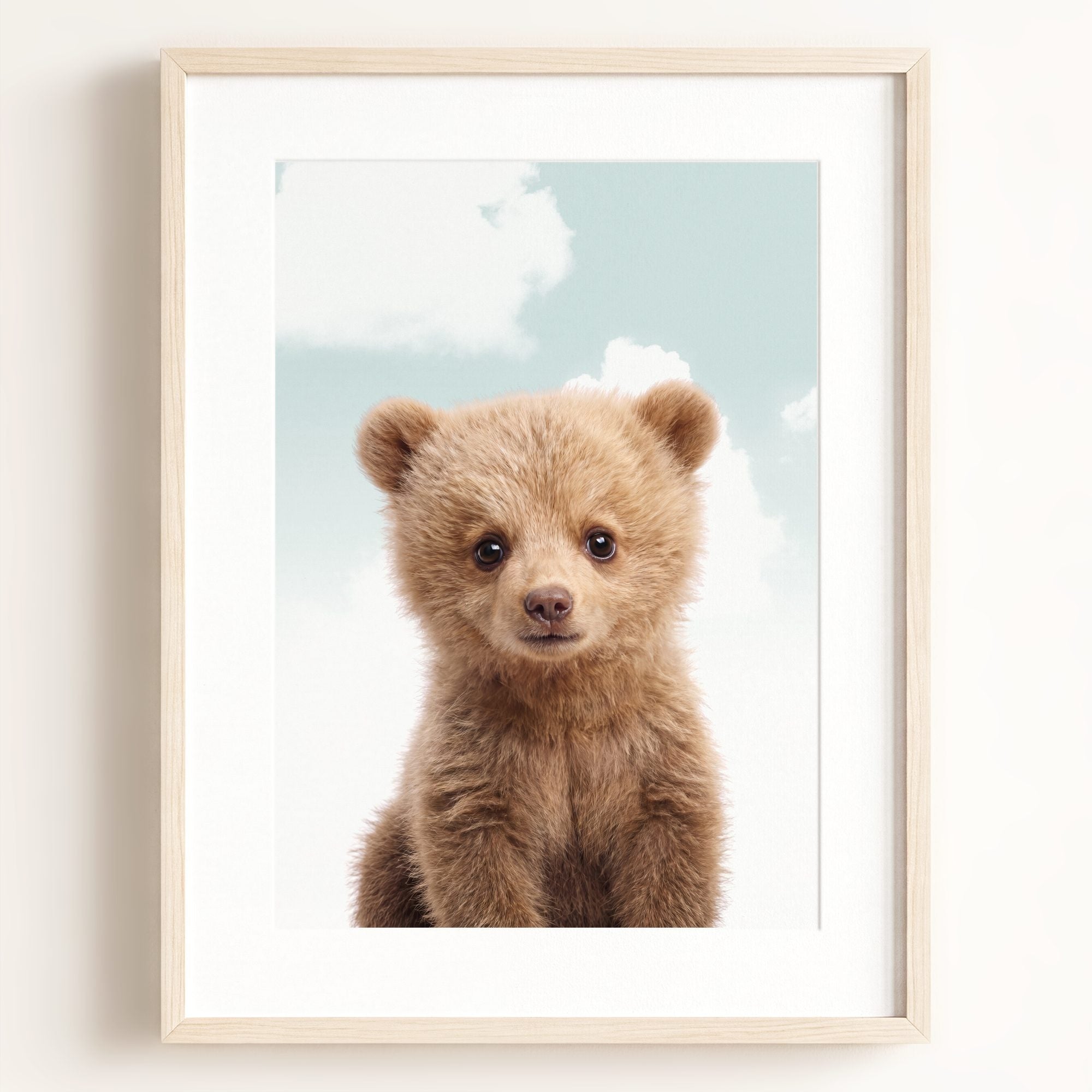 Baby Grizzly Bear