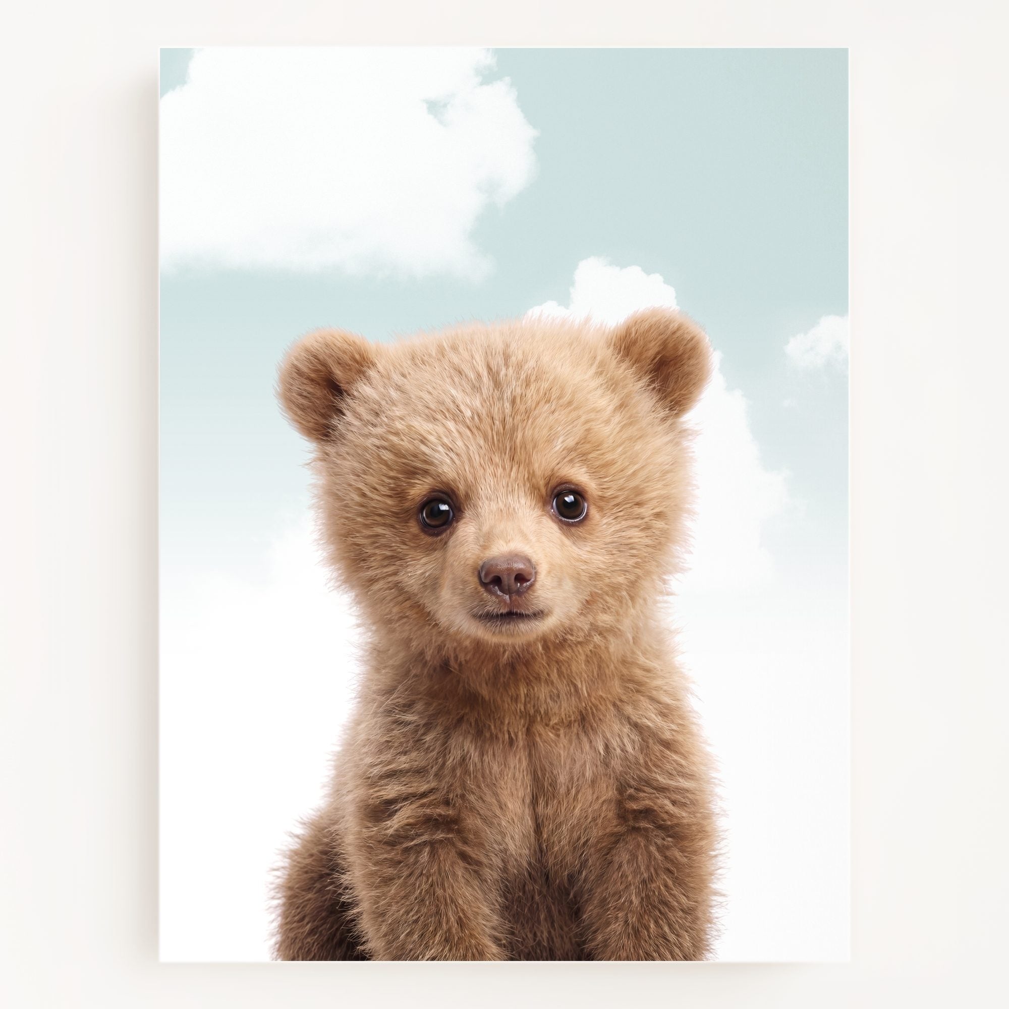 Baby Grizzly Bear