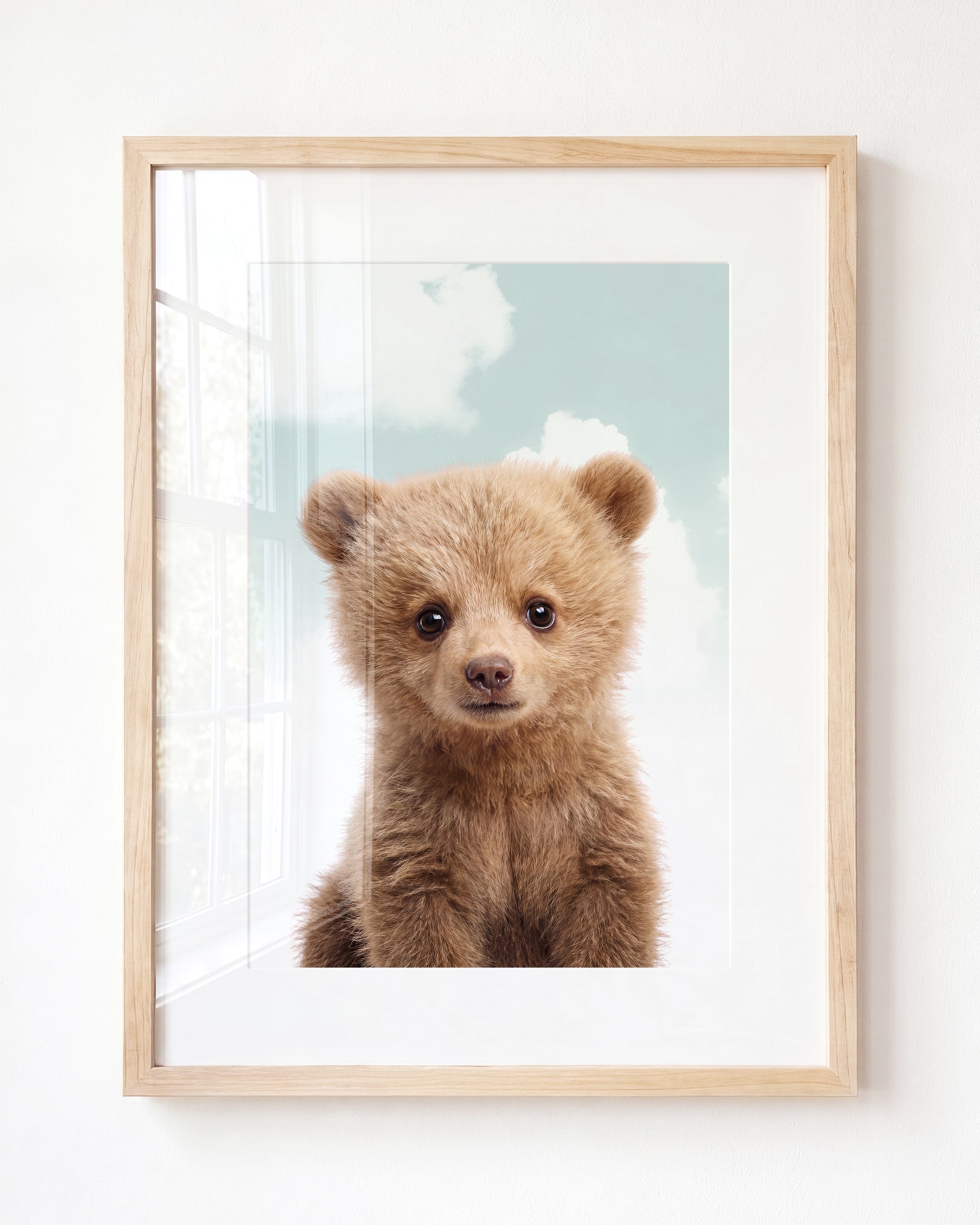 Baby Grizzly Bear