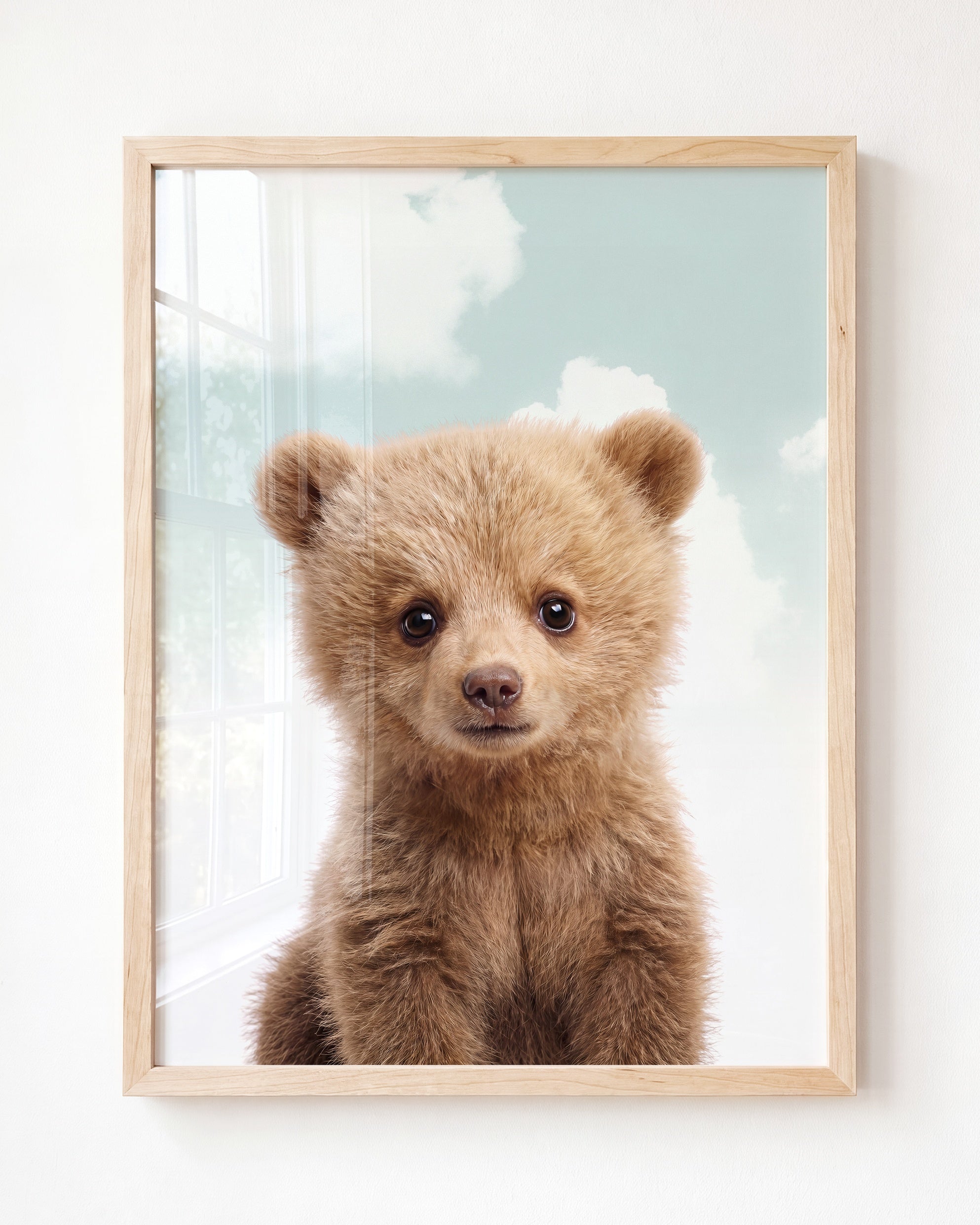 Baby Grizzly Bear