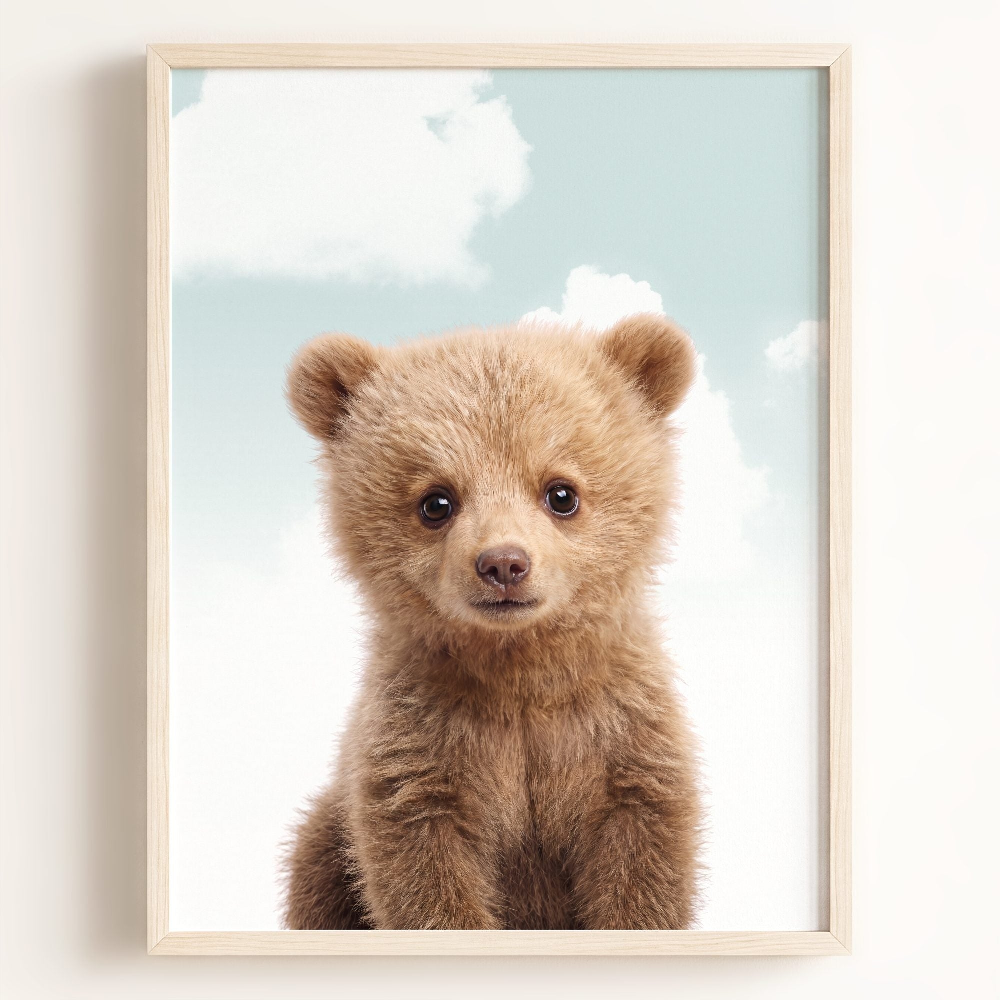 Baby Grizzly Bear