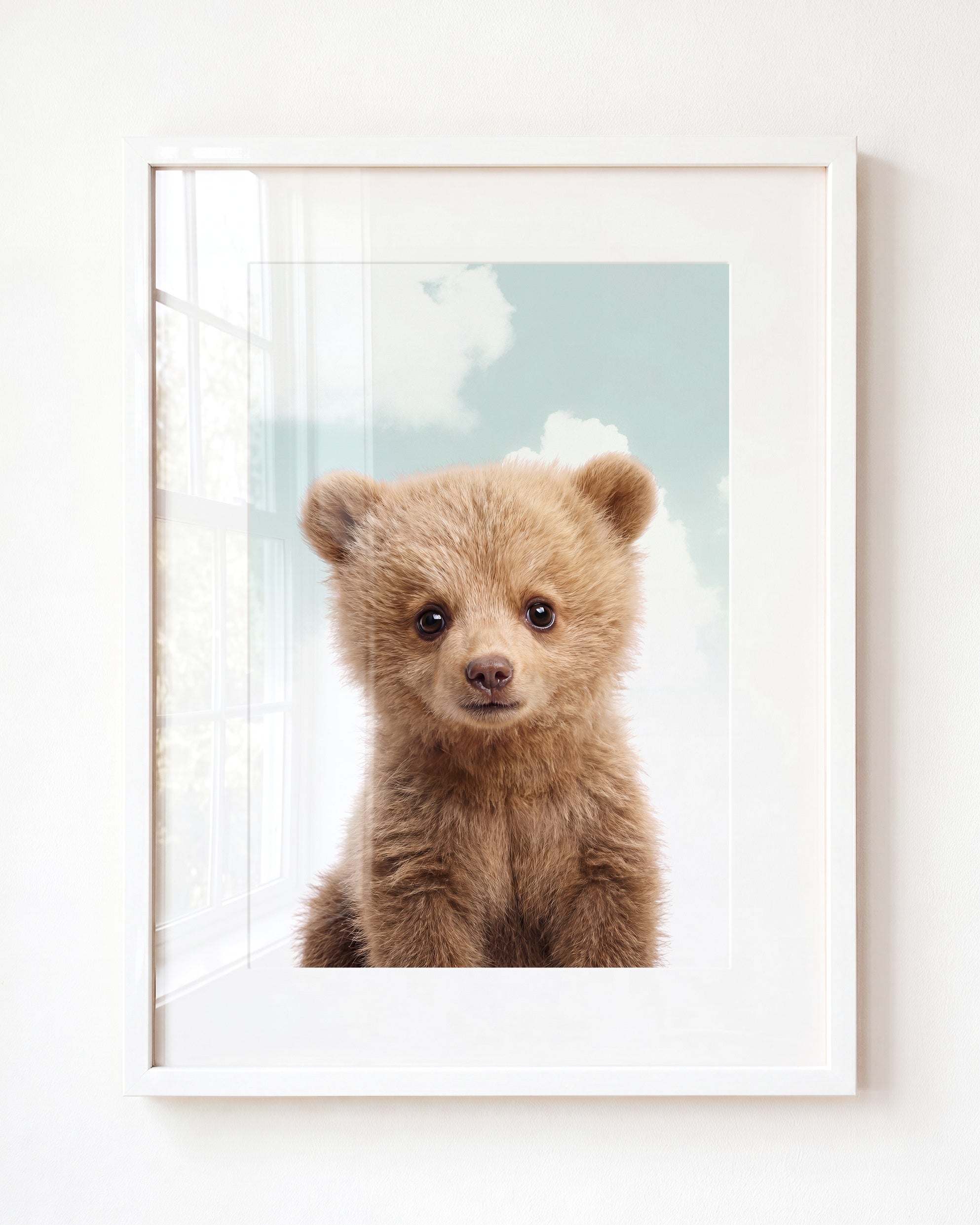 Baby Grizzly Bear