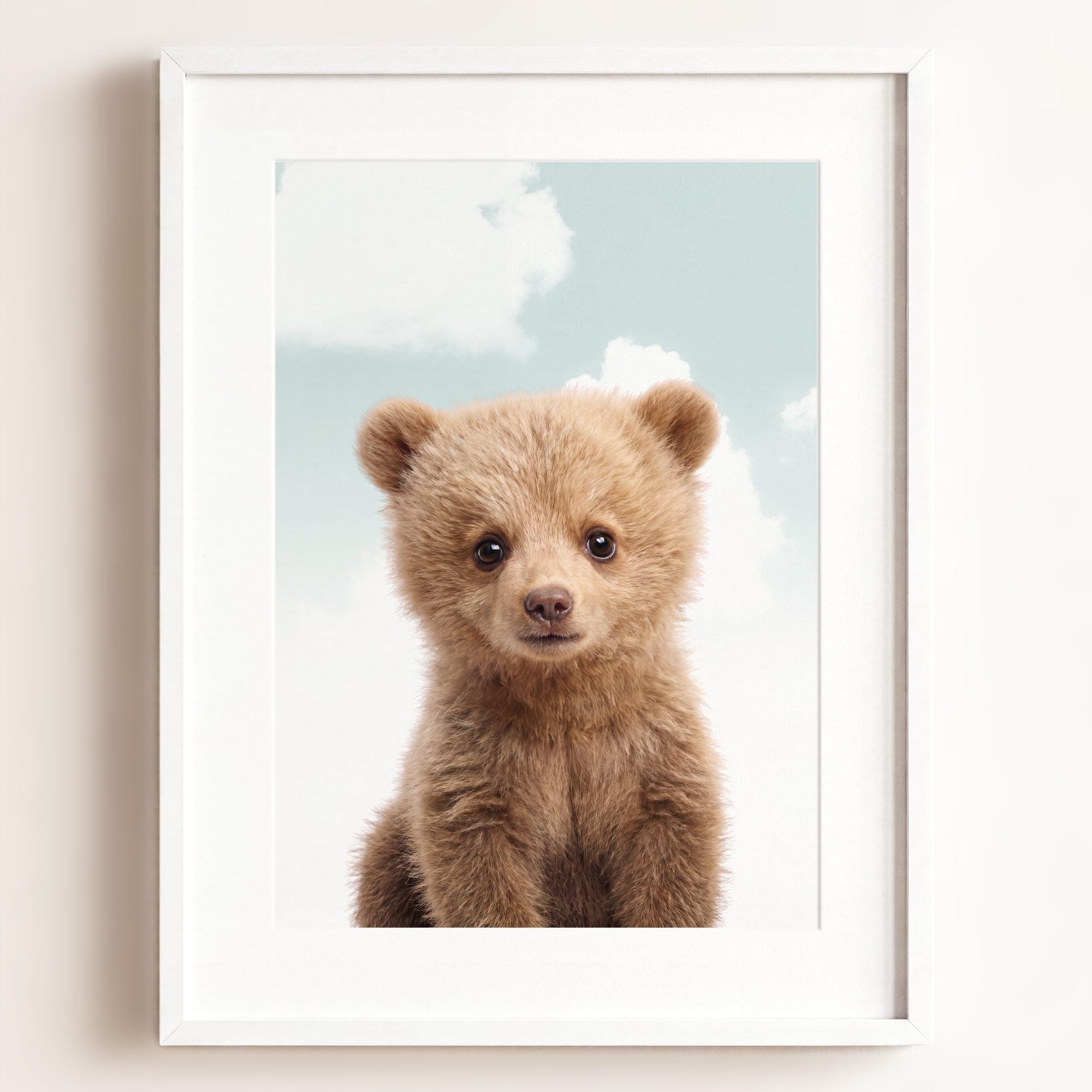 Baby Grizzly Bear