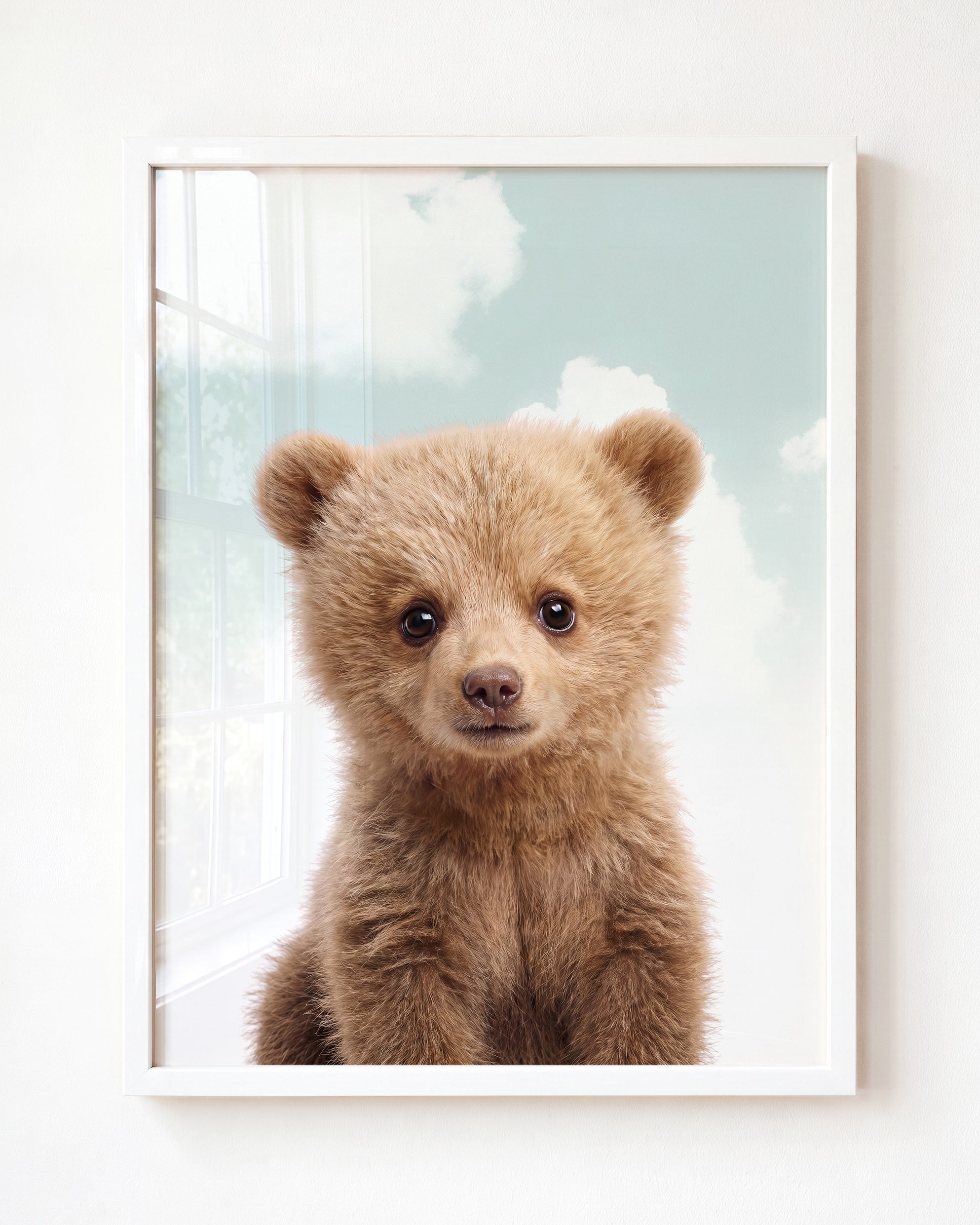 Baby Grizzly Bear
