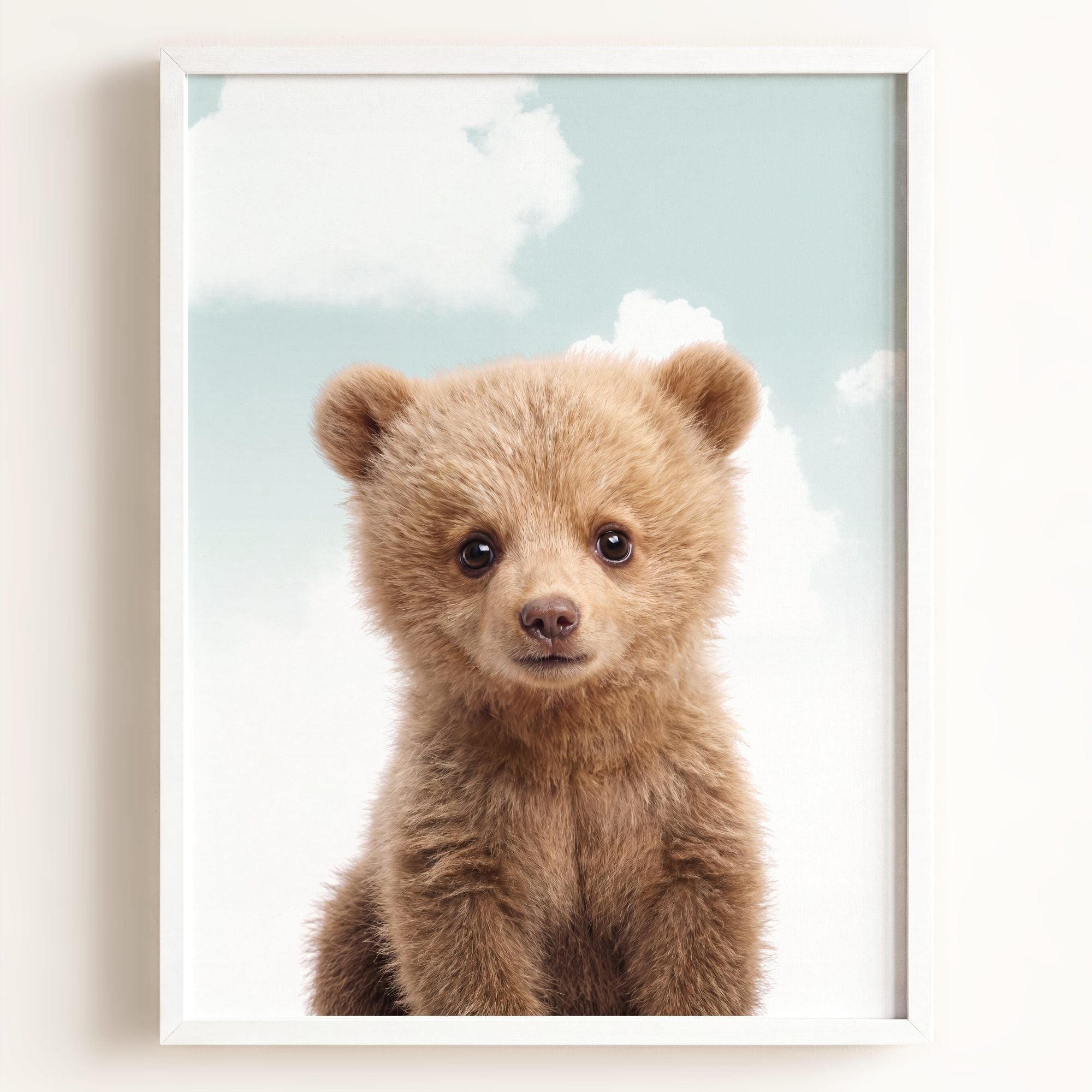 Baby Grizzly Bear