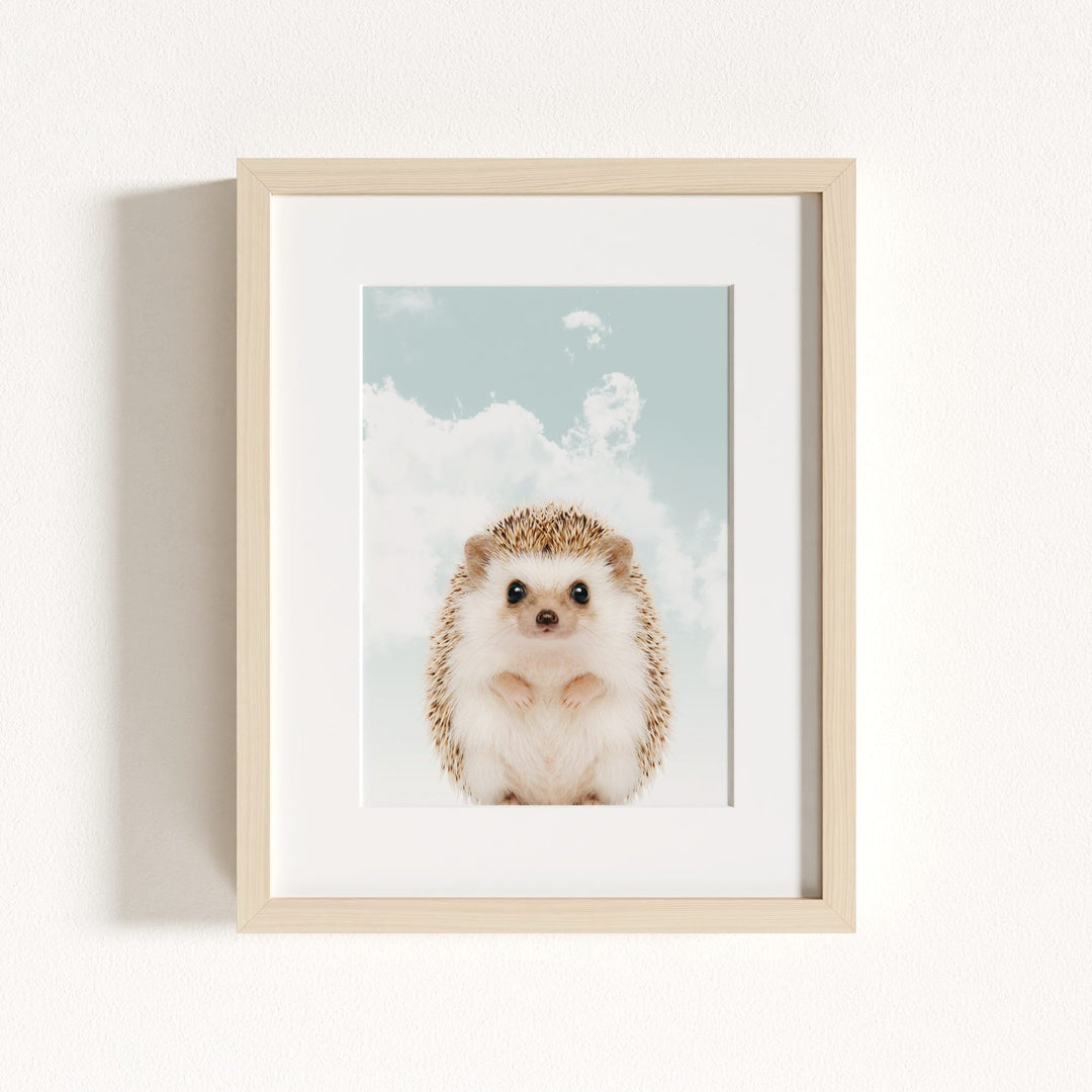 Baby Hedgehog