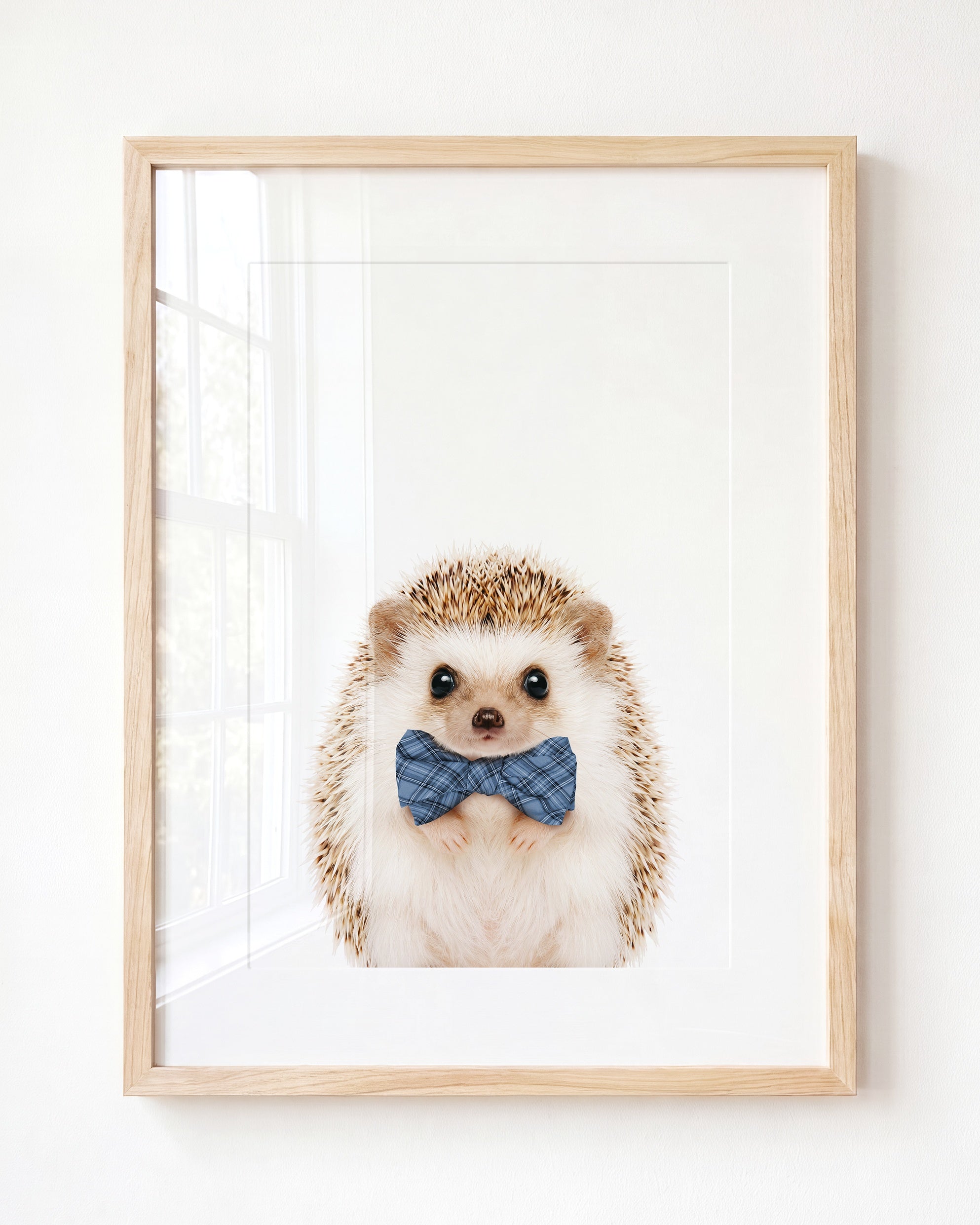 Baby Hedgehog