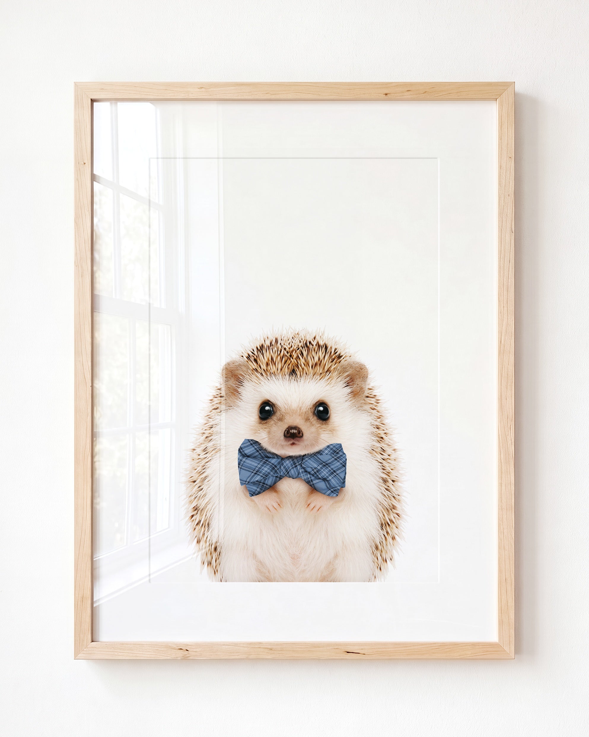 Baby Hedgehog