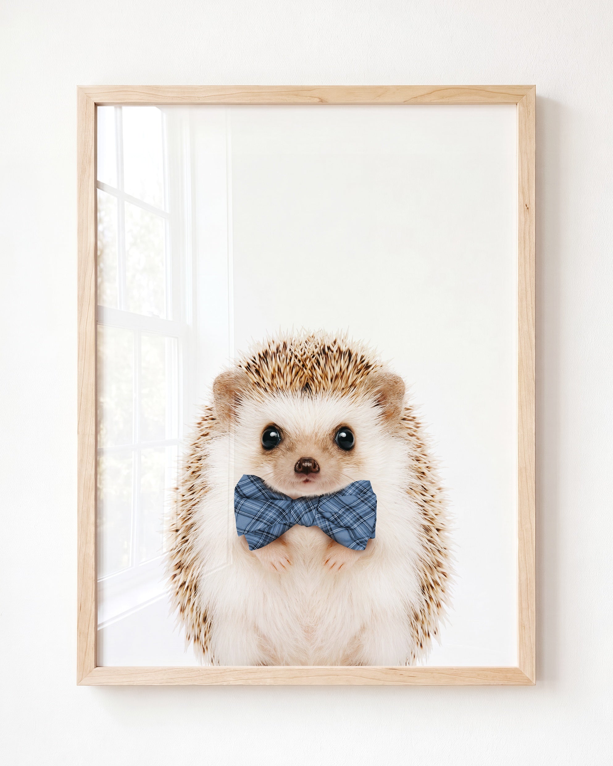 Baby Hedgehog