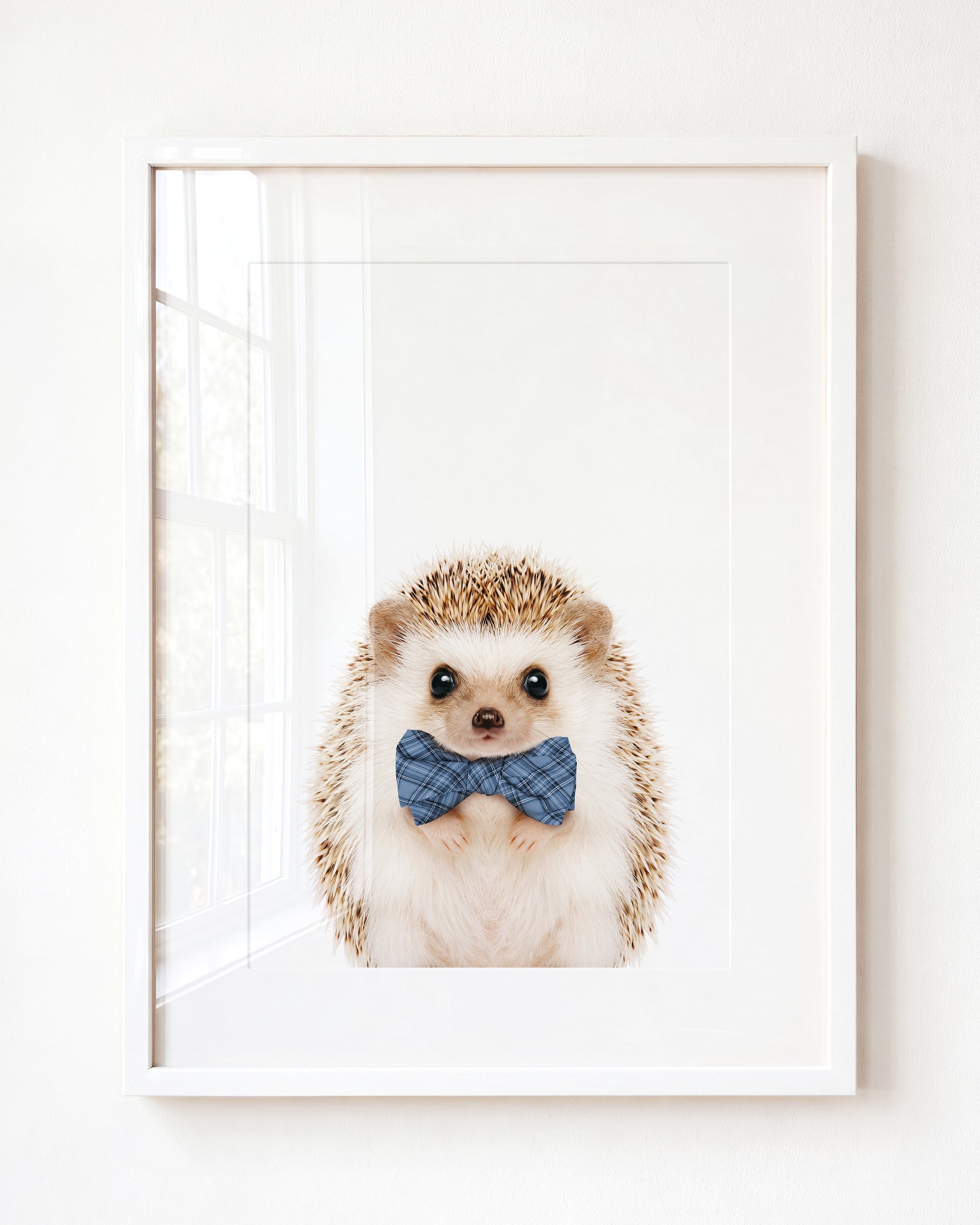 Baby Hedgehog