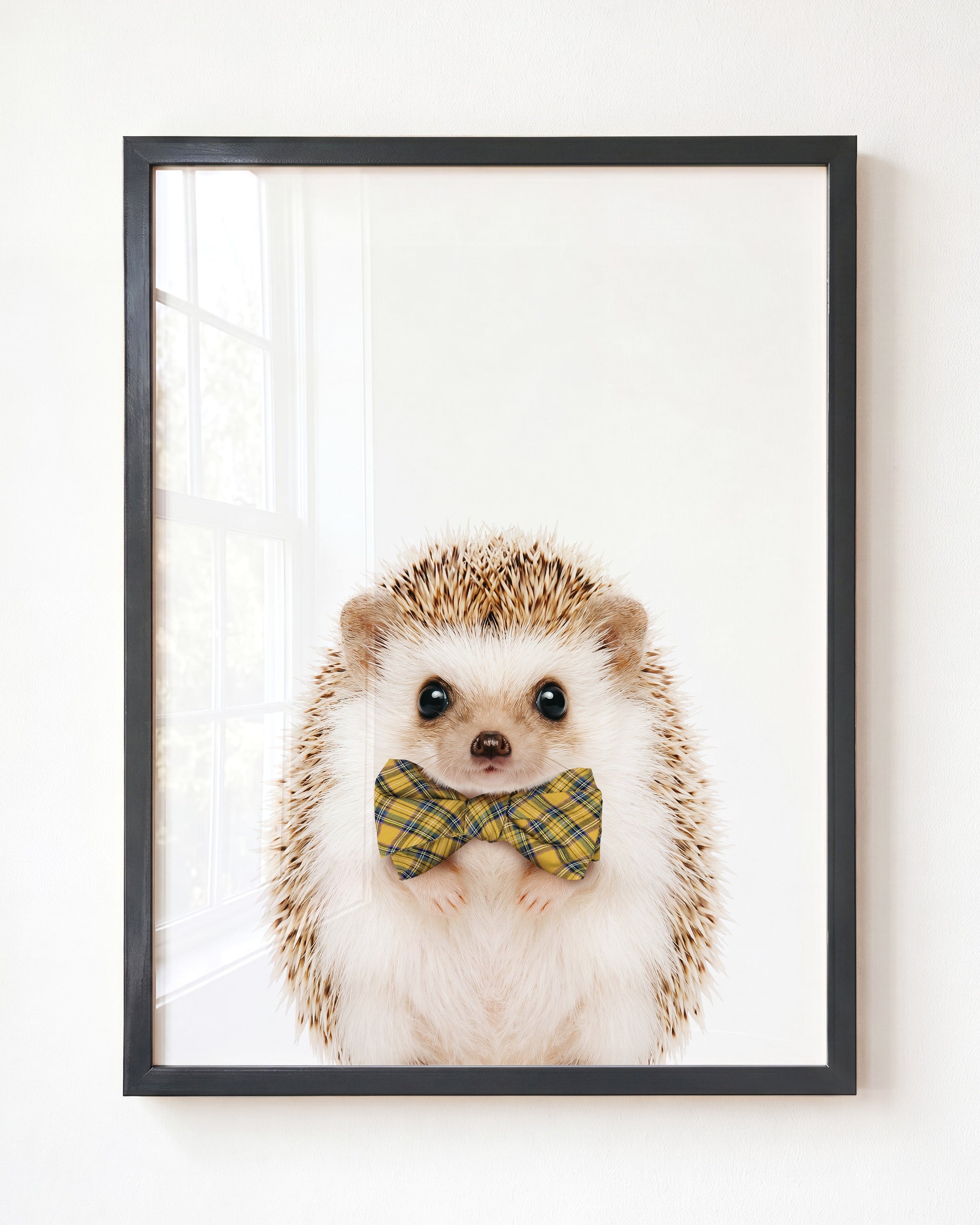 Baby Hedgehog