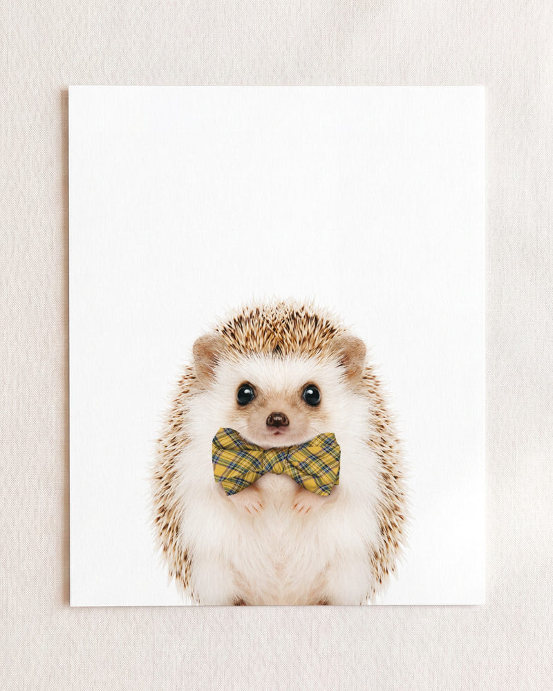Bow Tie