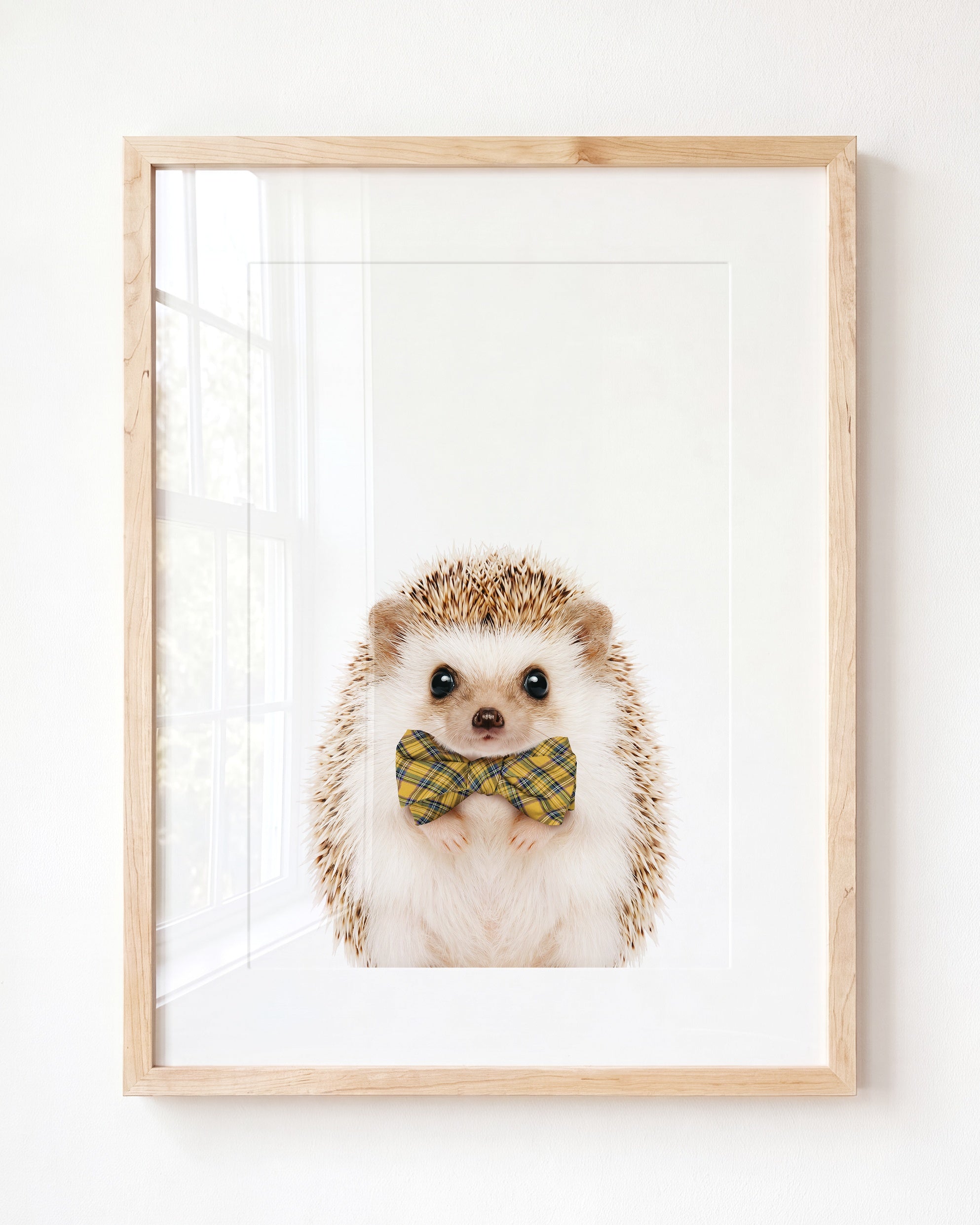 Baby Hedgehog