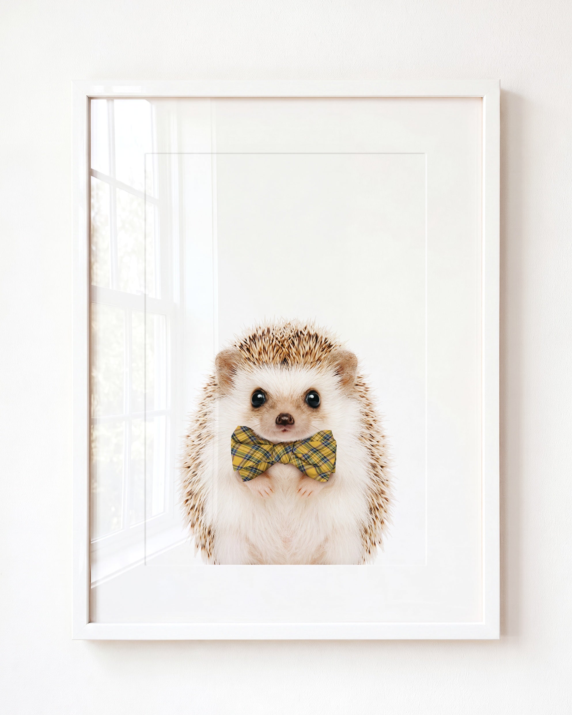 Baby Hedgehog