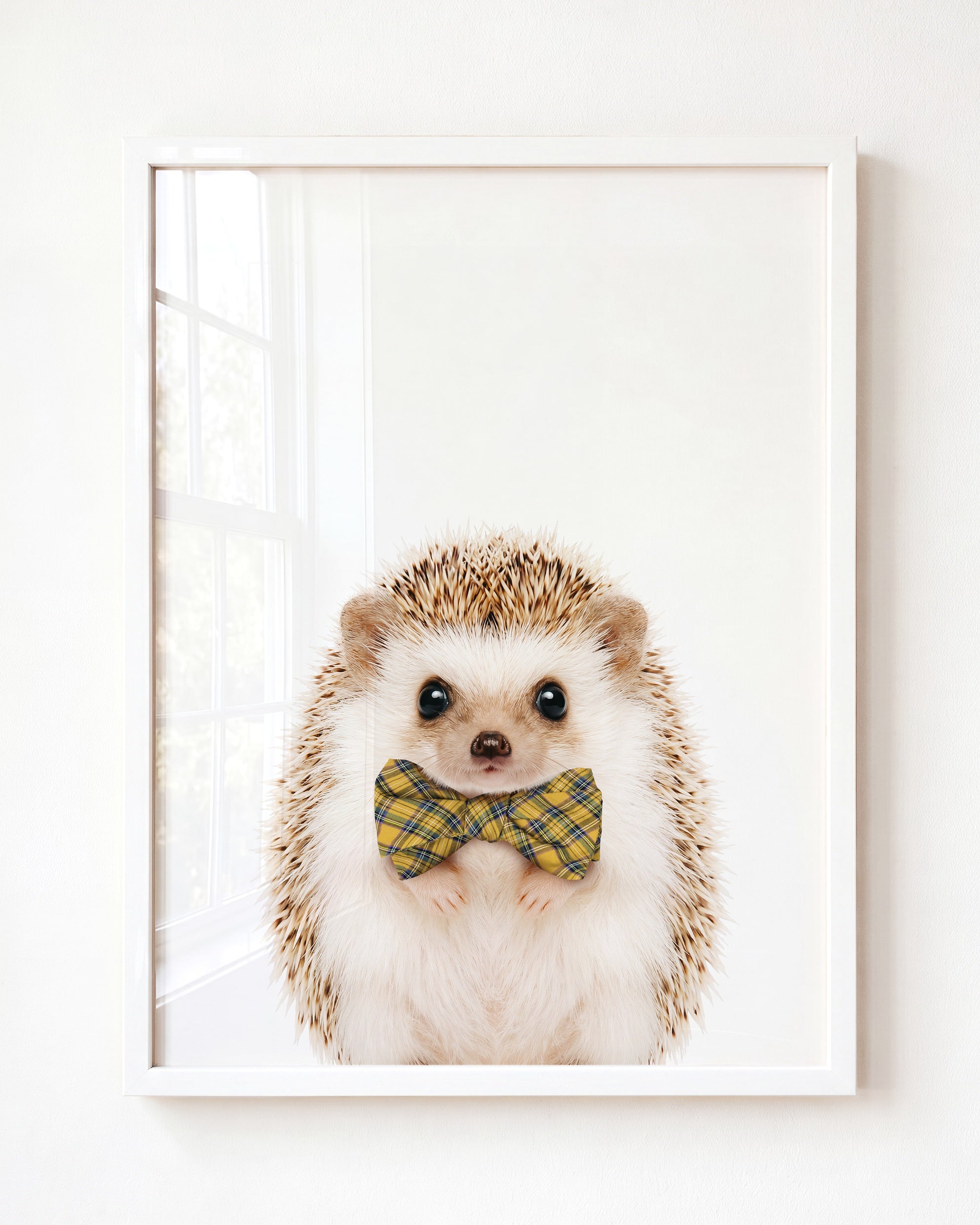 Baby Hedgehog