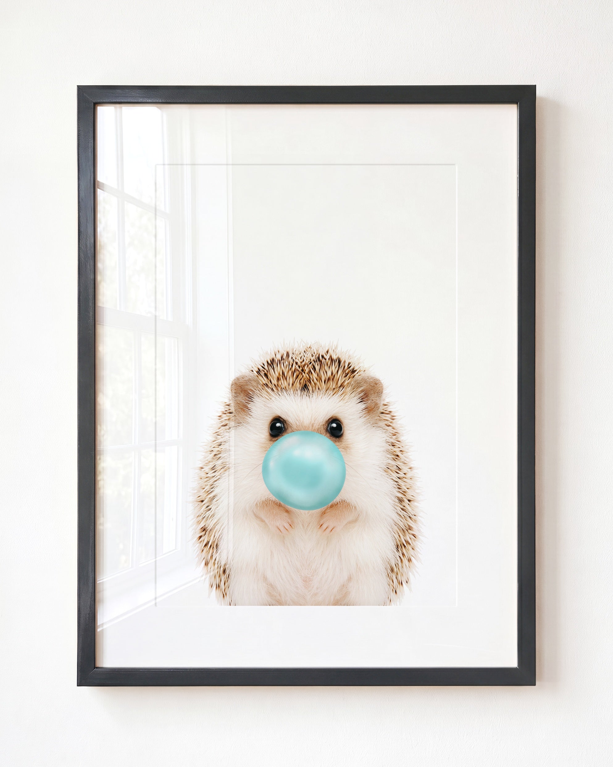 Baby Hedgehog