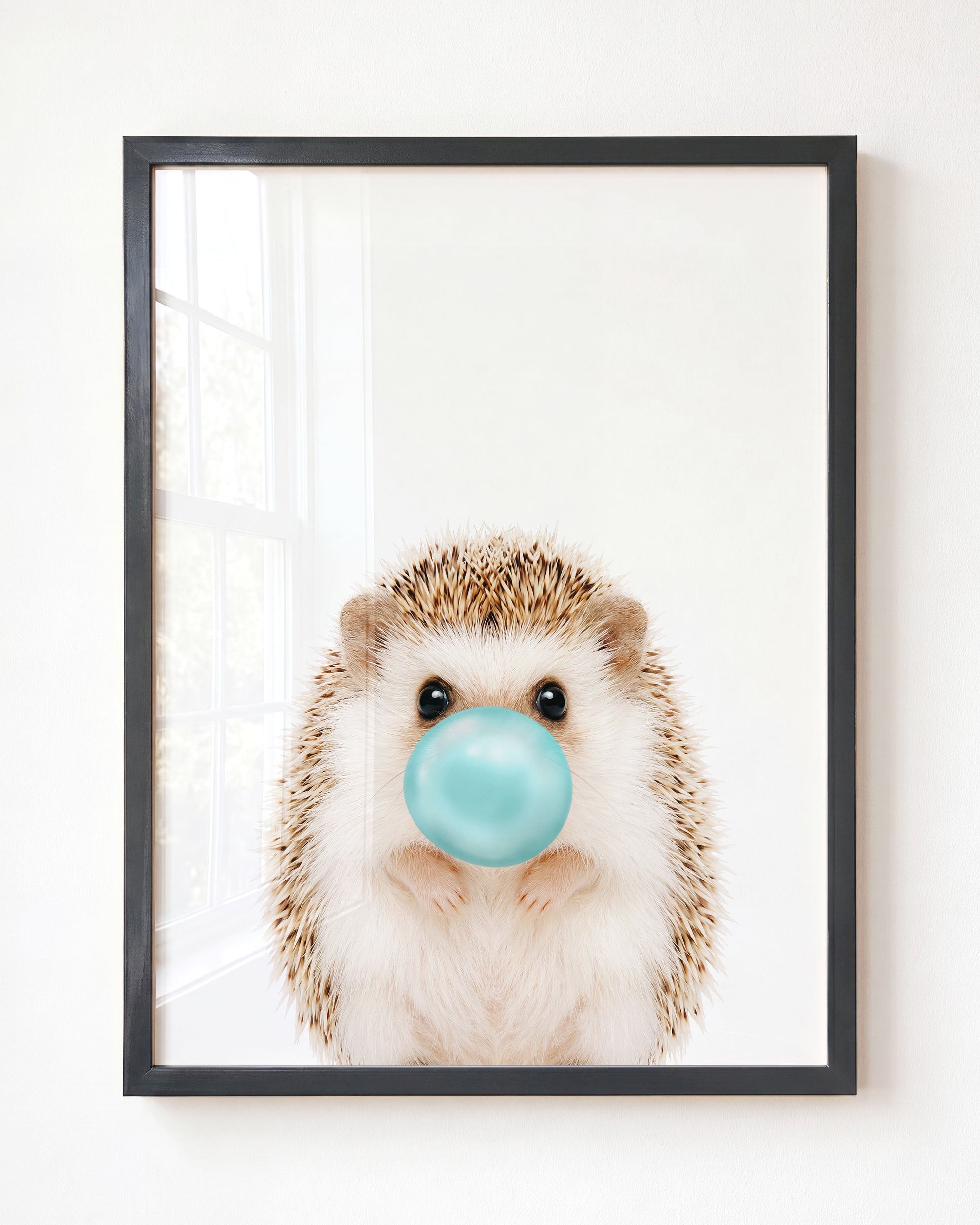 Baby Hedgehog