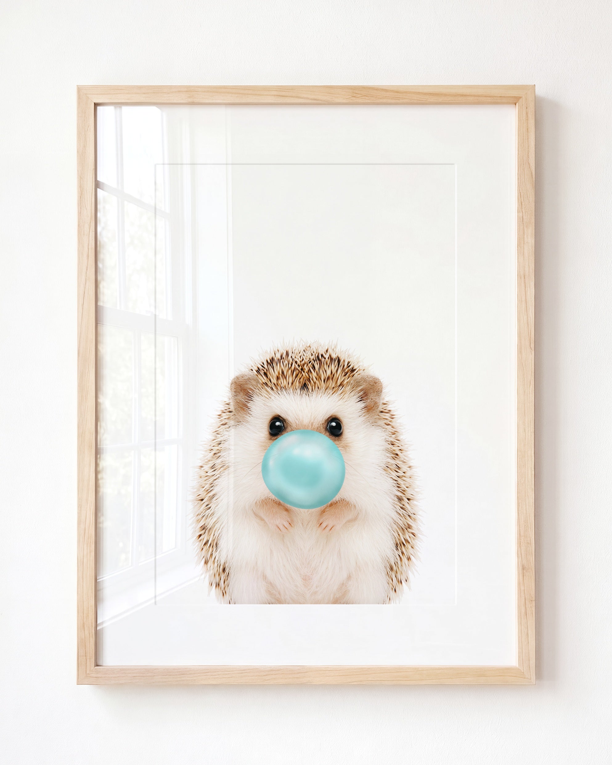 Baby Hedgehog