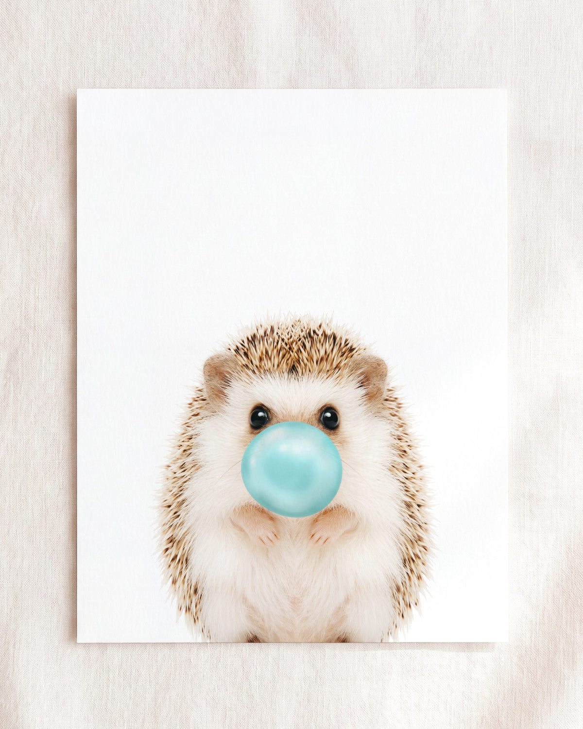 Baby Hedgehog
