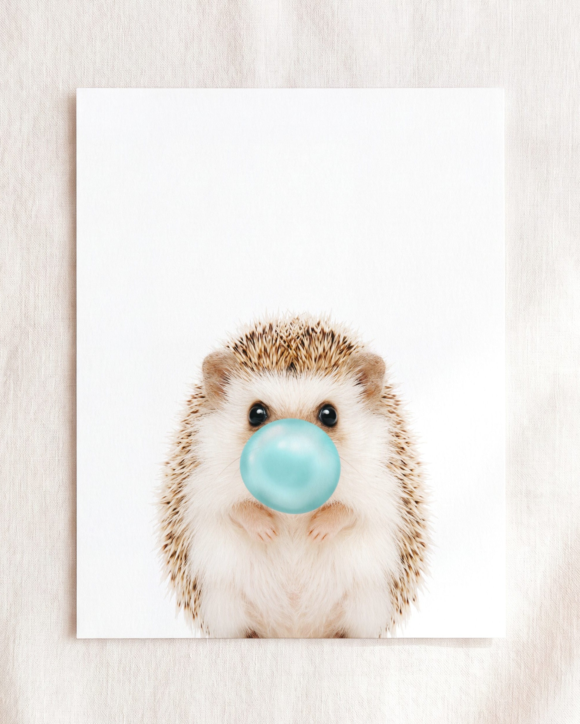 Baby Hedgehog