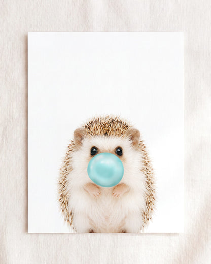 Baby Hedgehog