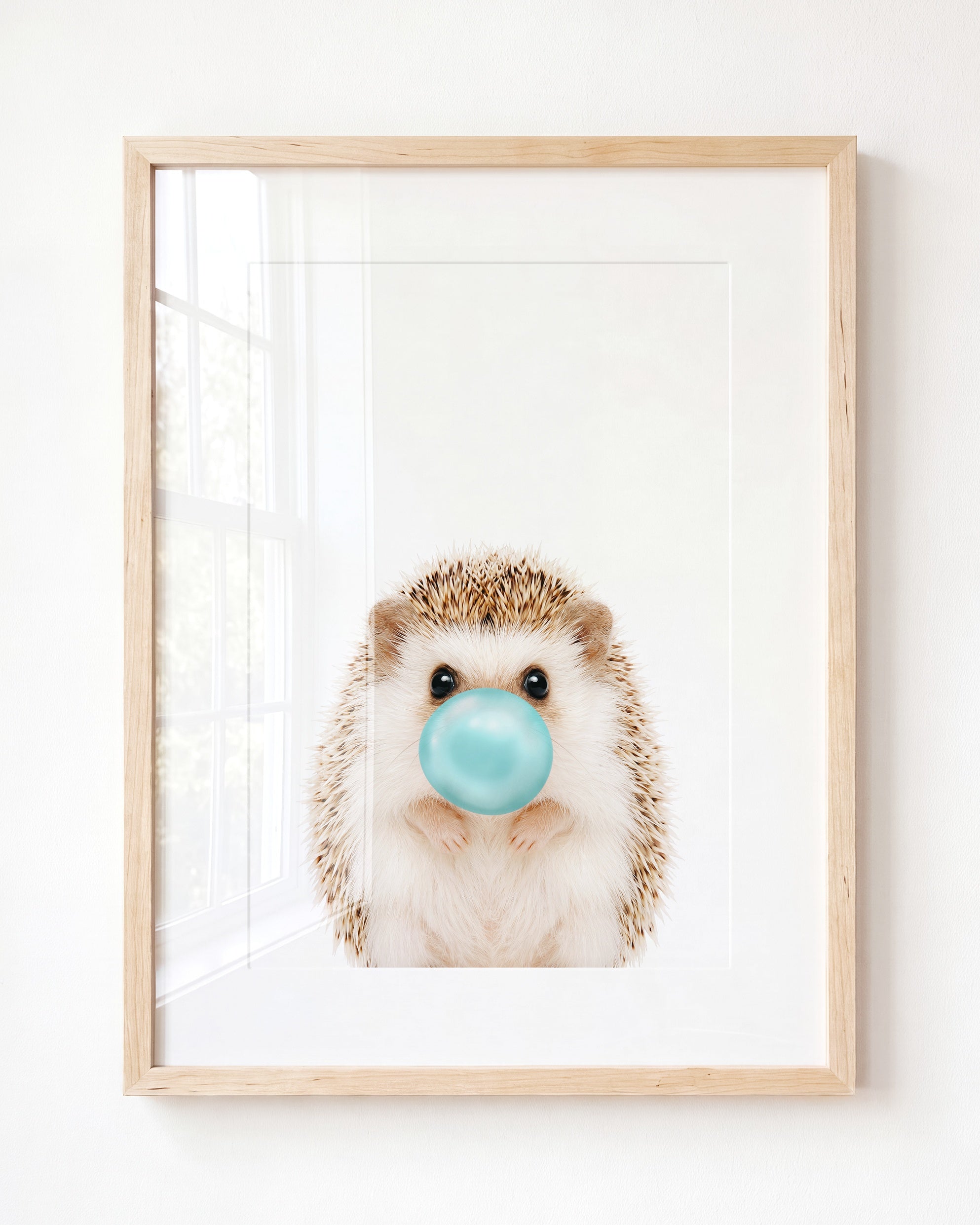 Baby Hedgehog