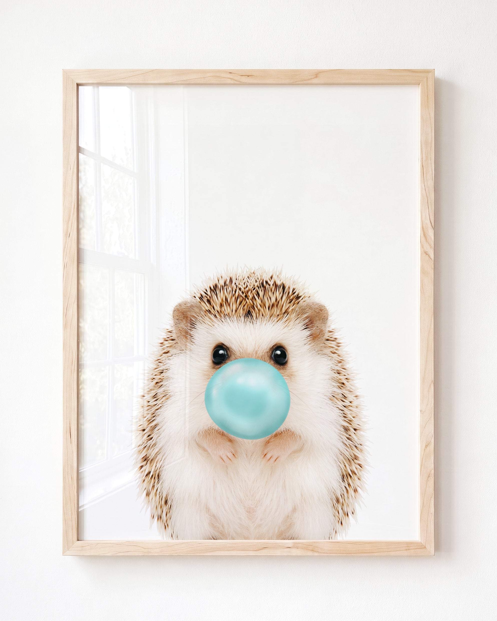 Baby Hedgehog
