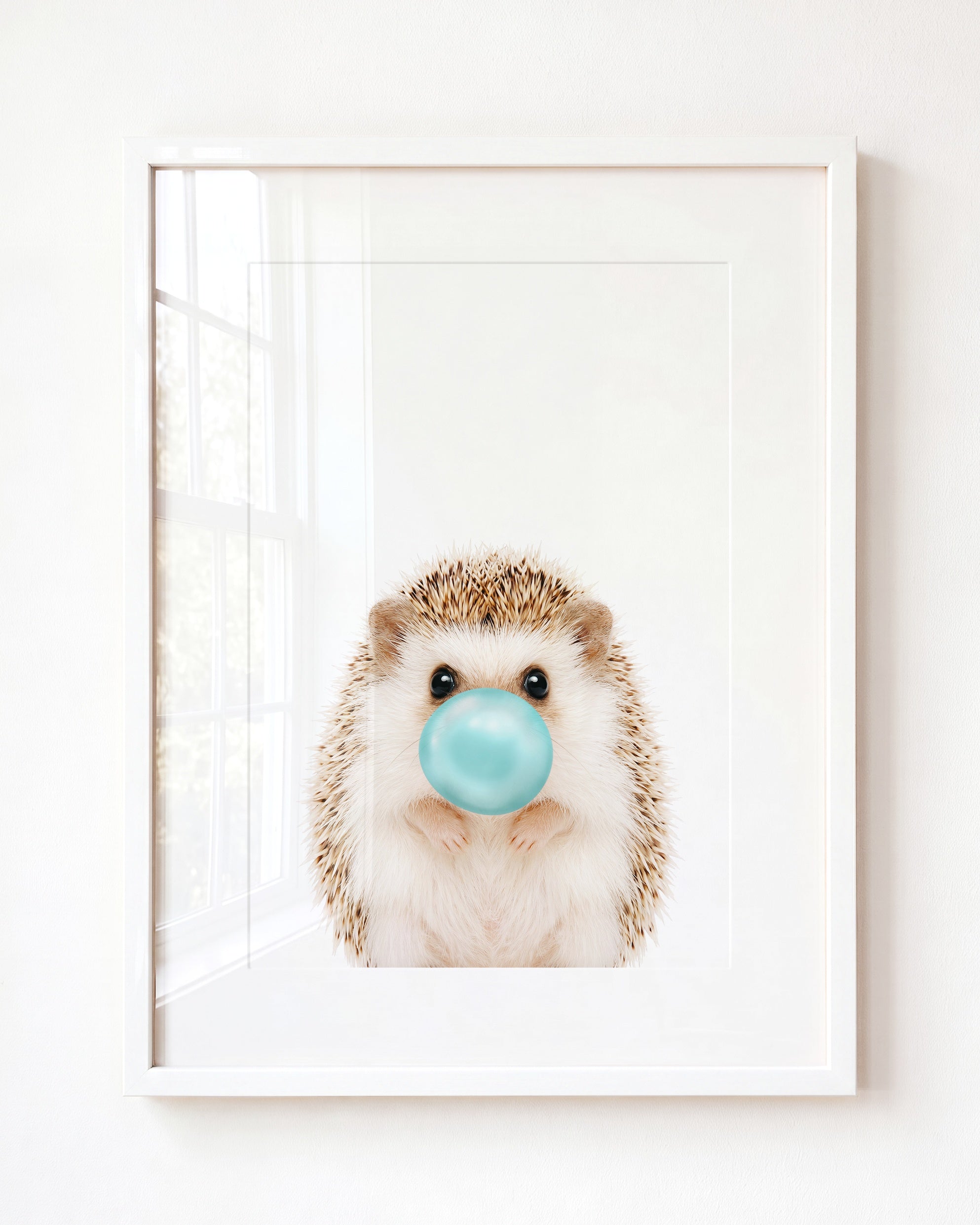 Baby Hedgehog