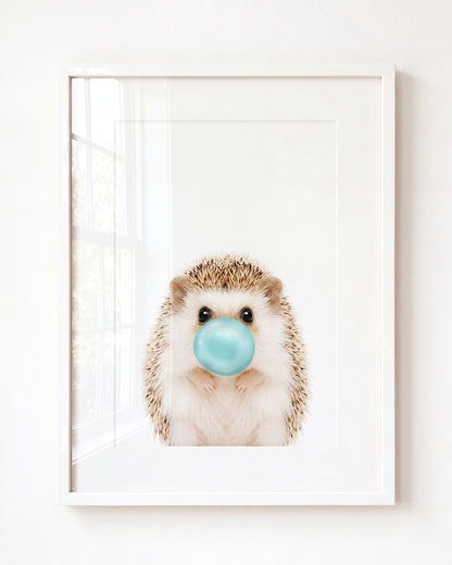 Baby Hedgehog