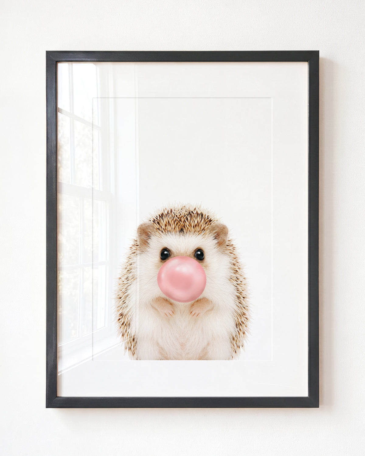 Baby Hedgehog