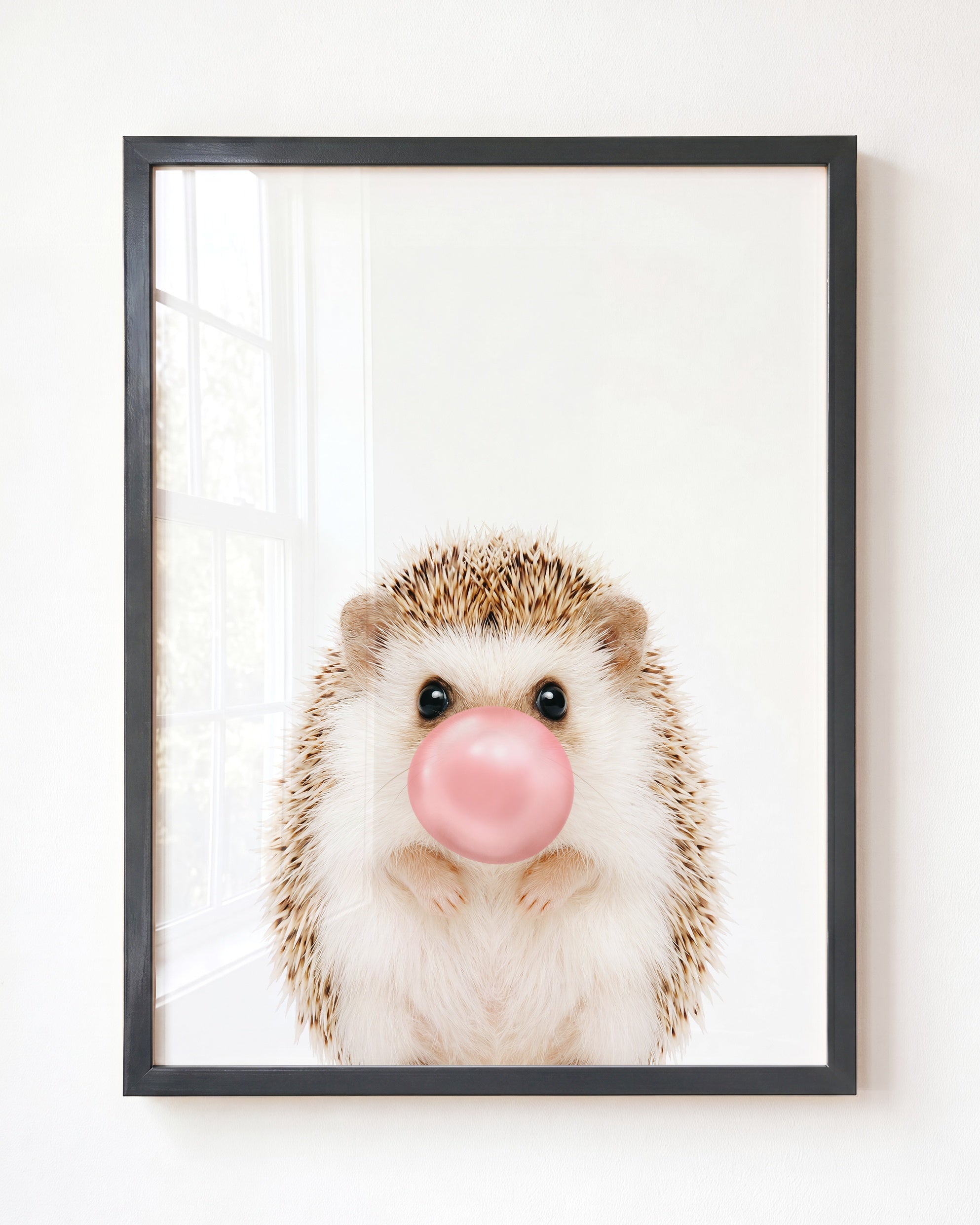 Baby Hedgehog