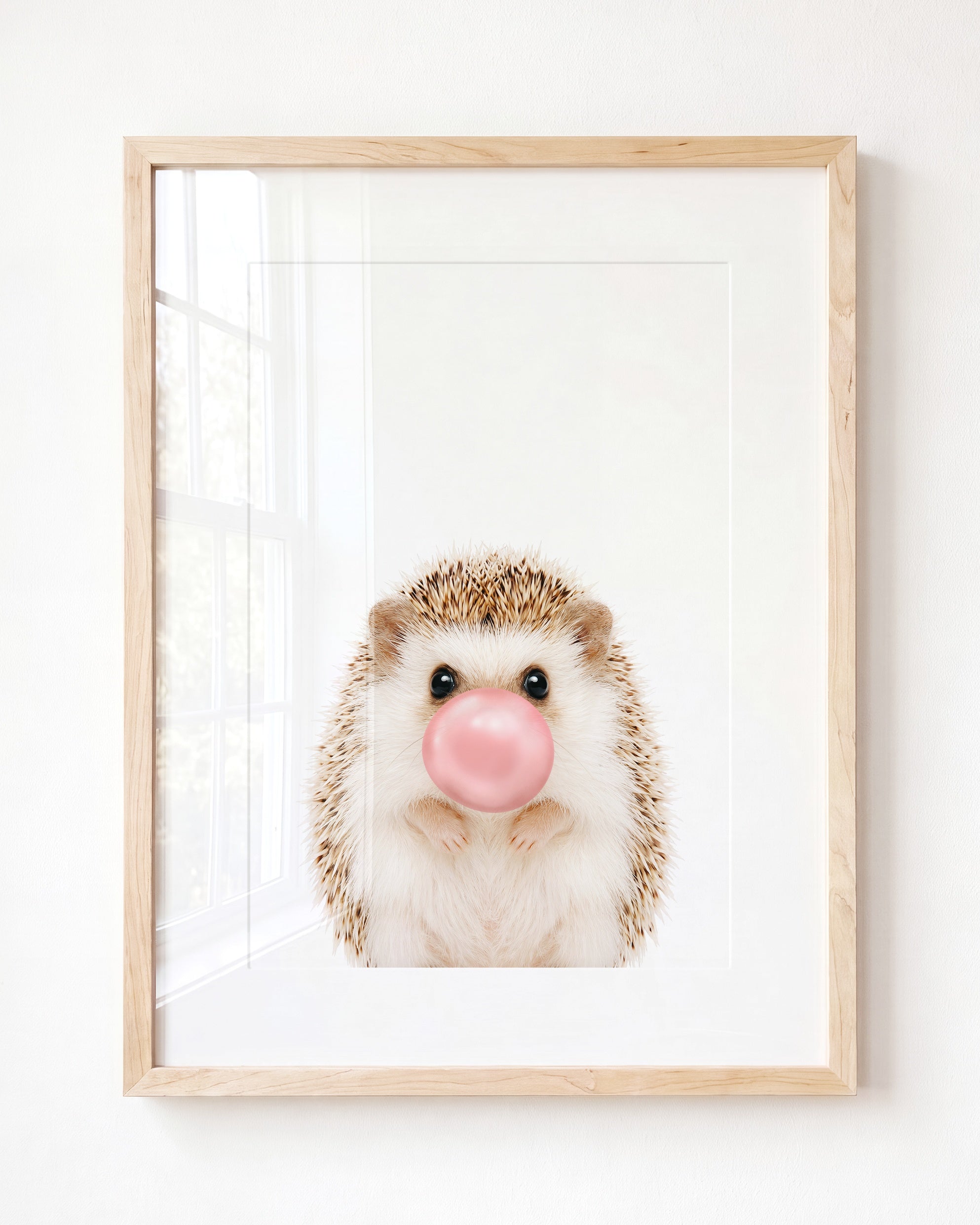 Baby Hedgehog