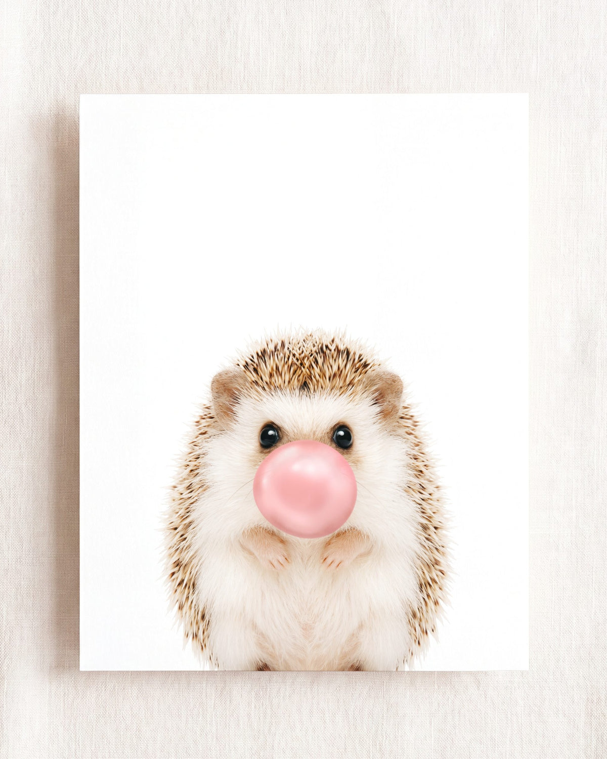 Baby Hedgehog