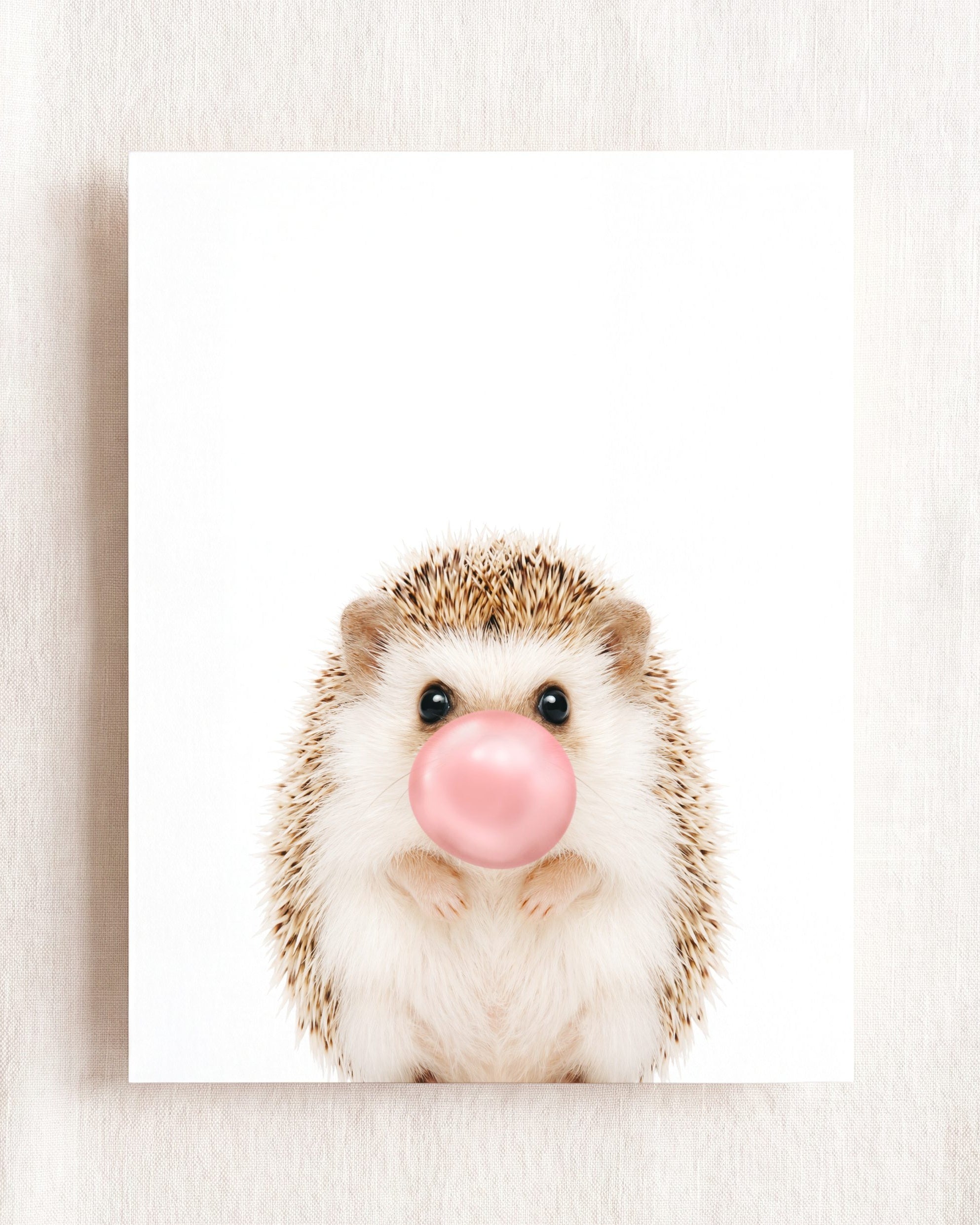 Baby Hedgehog