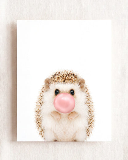 Baby Hedgehog
