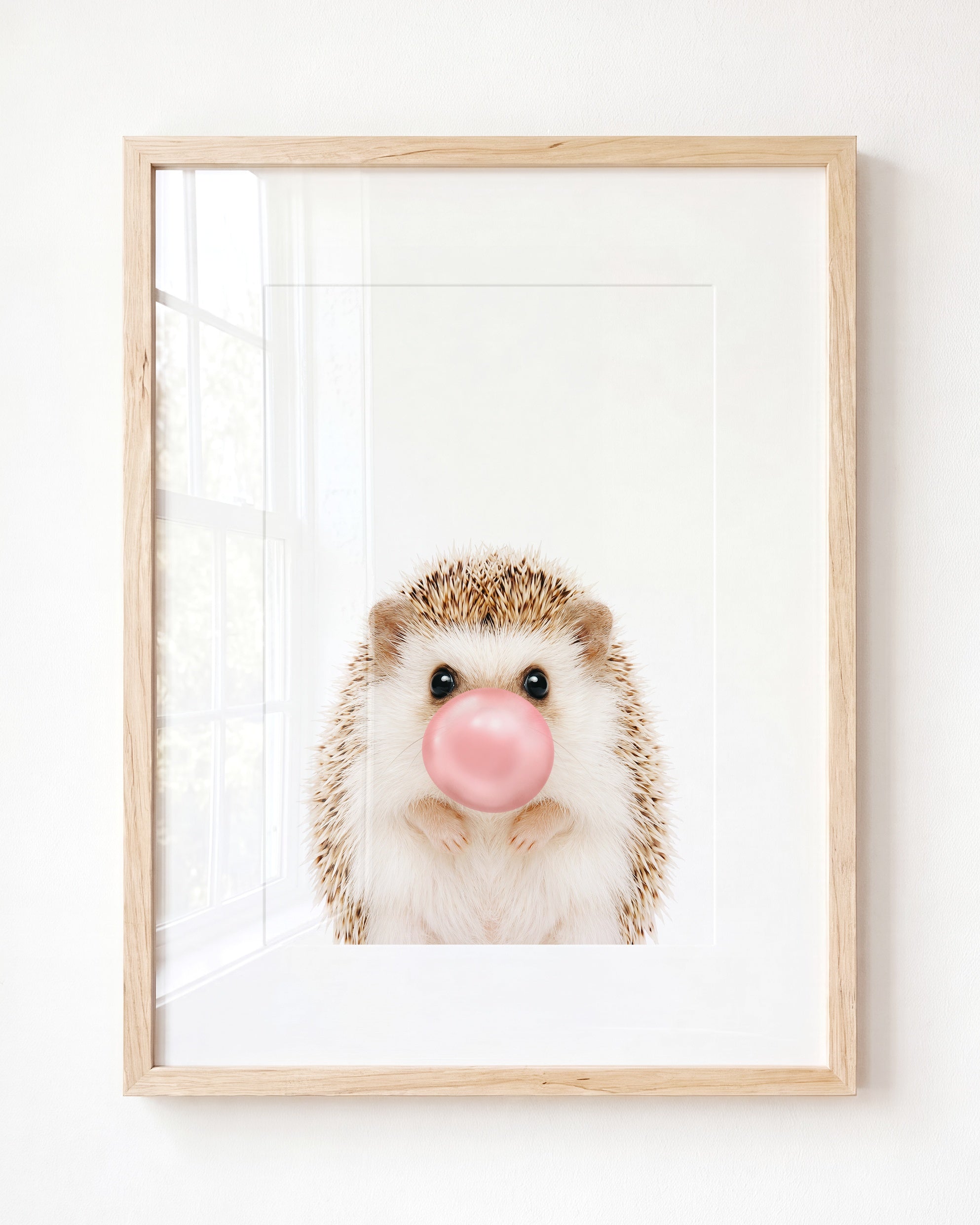 Baby Hedgehog