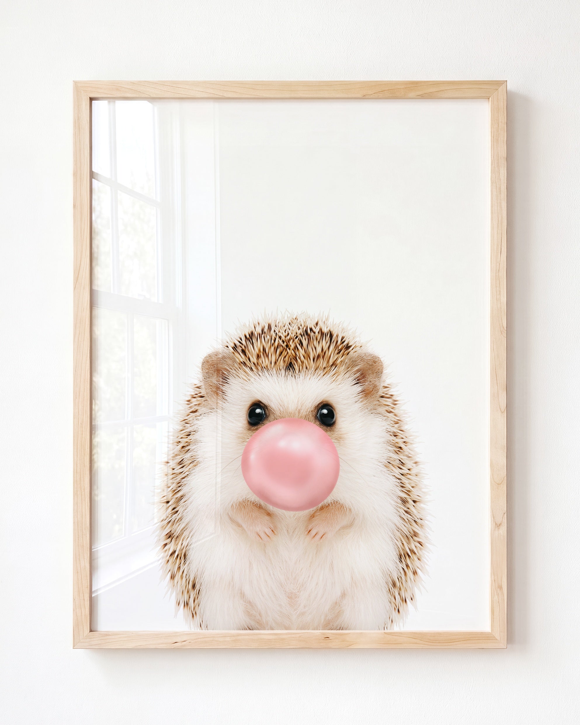 Baby Hedgehog