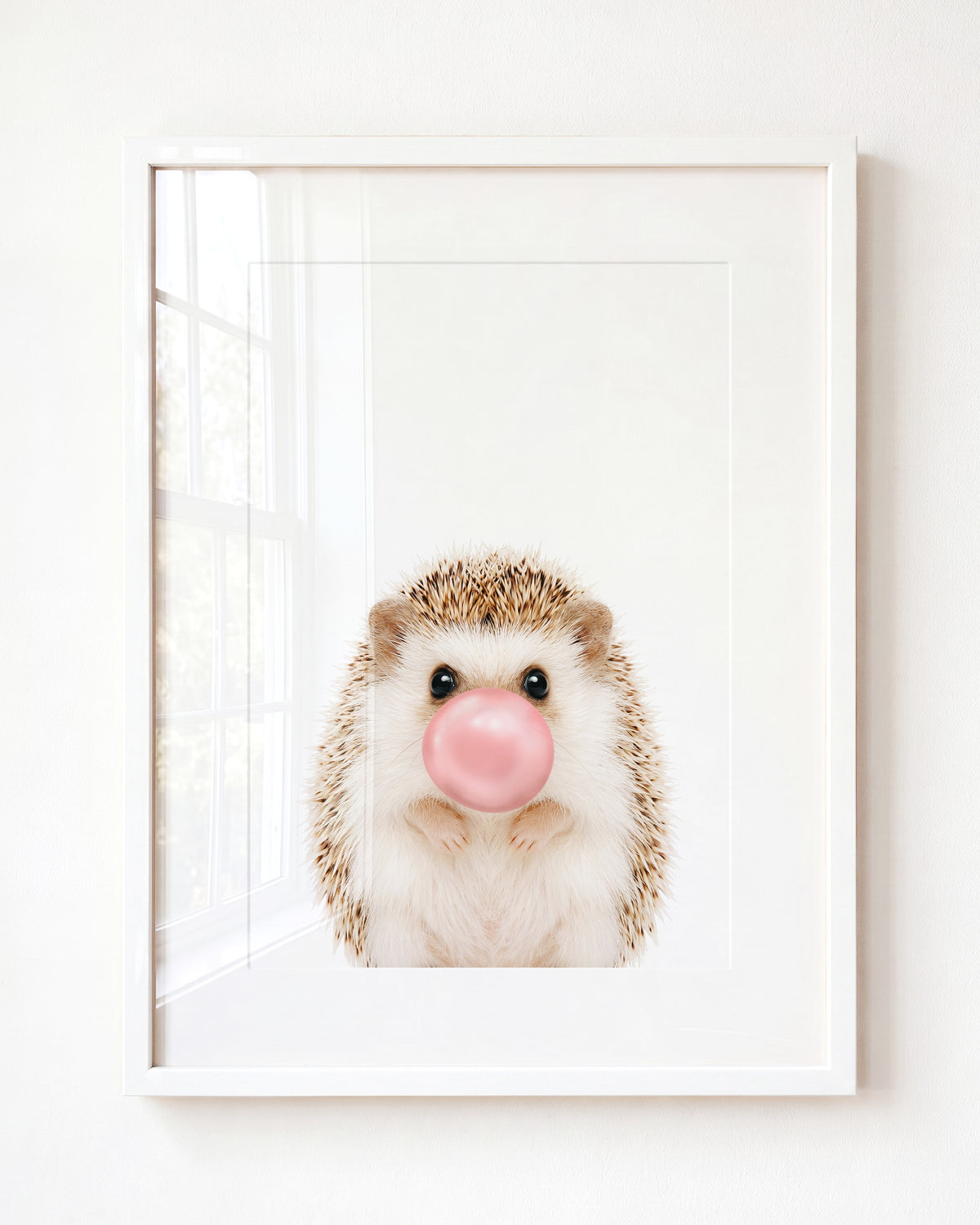 Baby Hedgehog