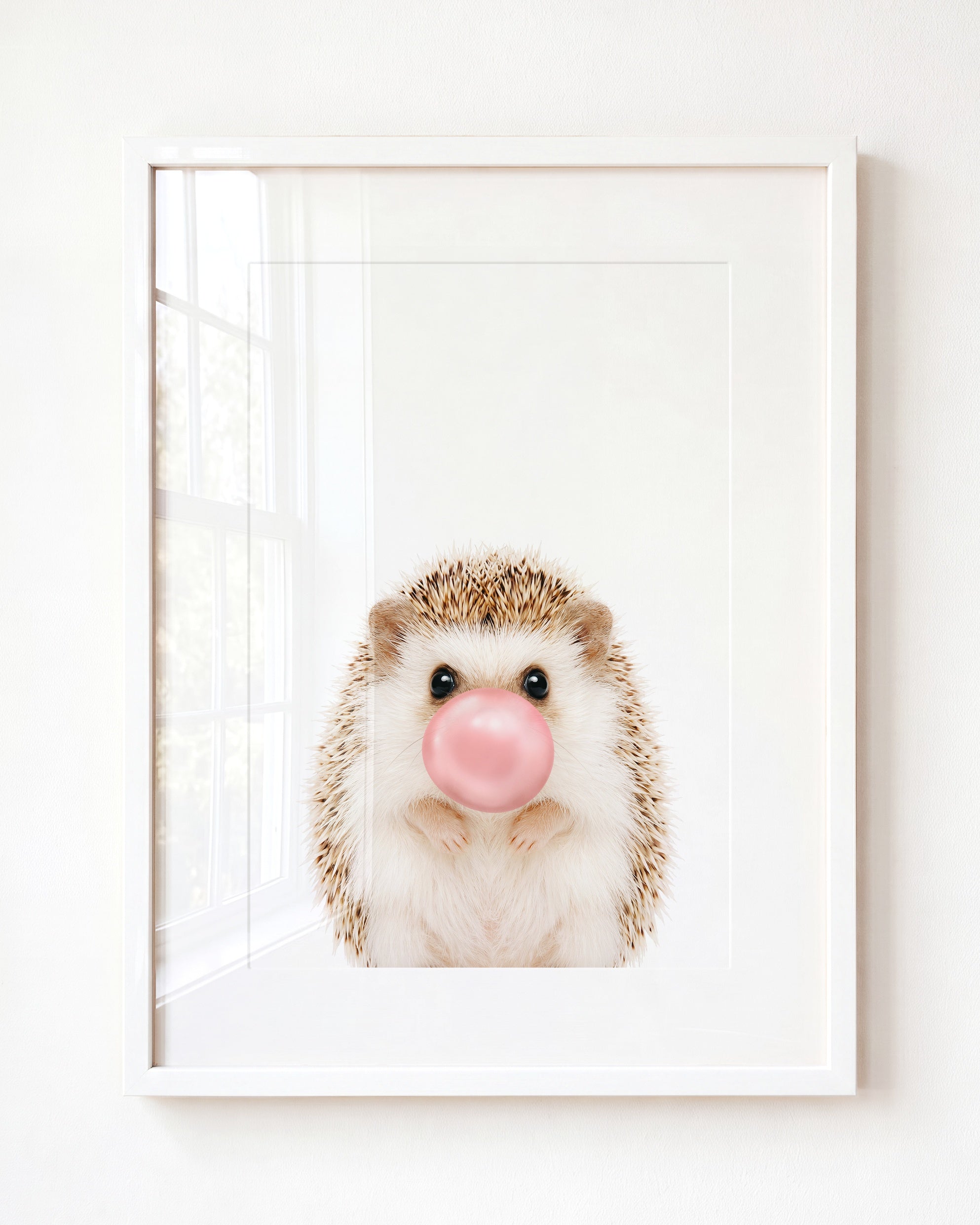 Baby Hedgehog