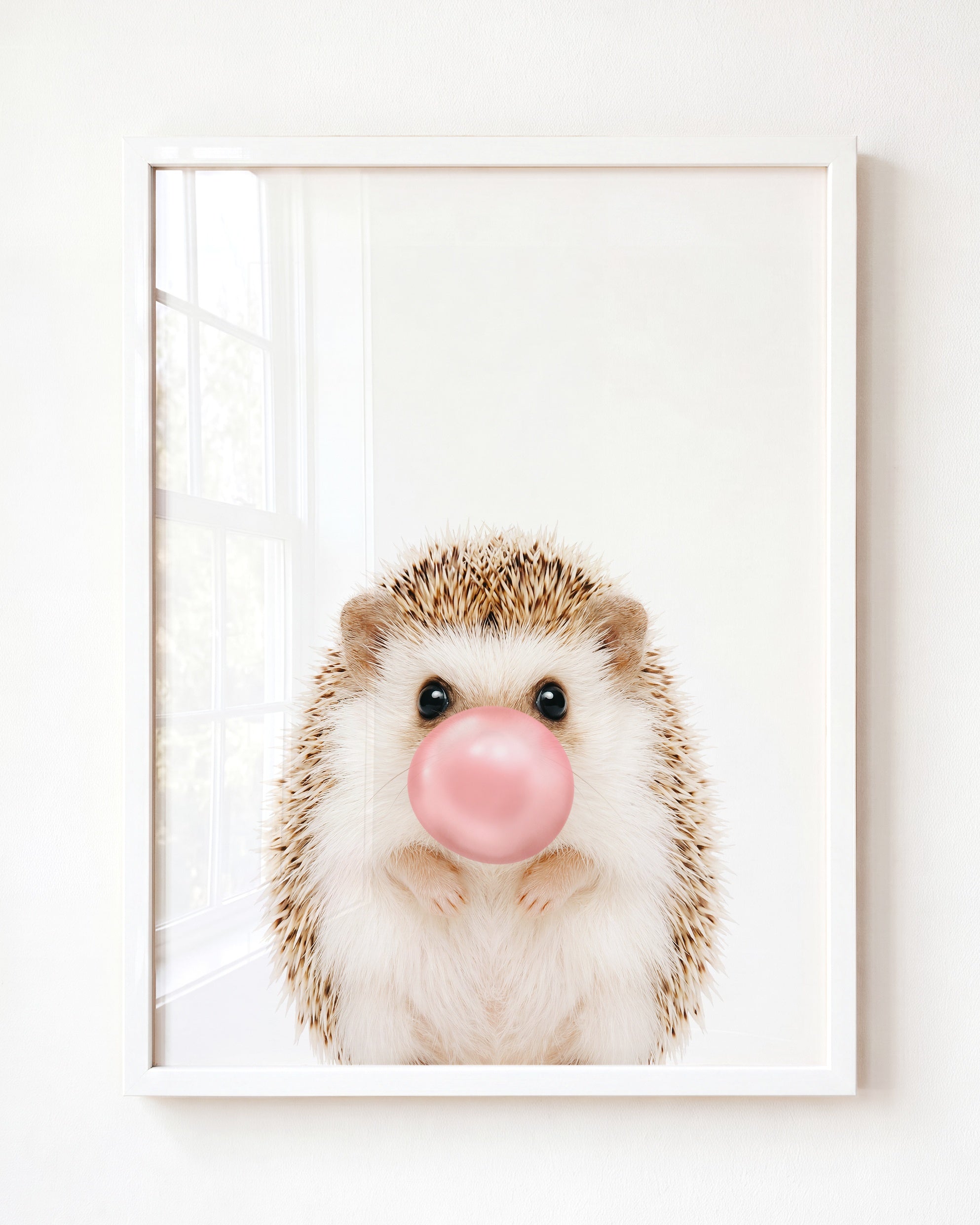 Baby Hedgehog