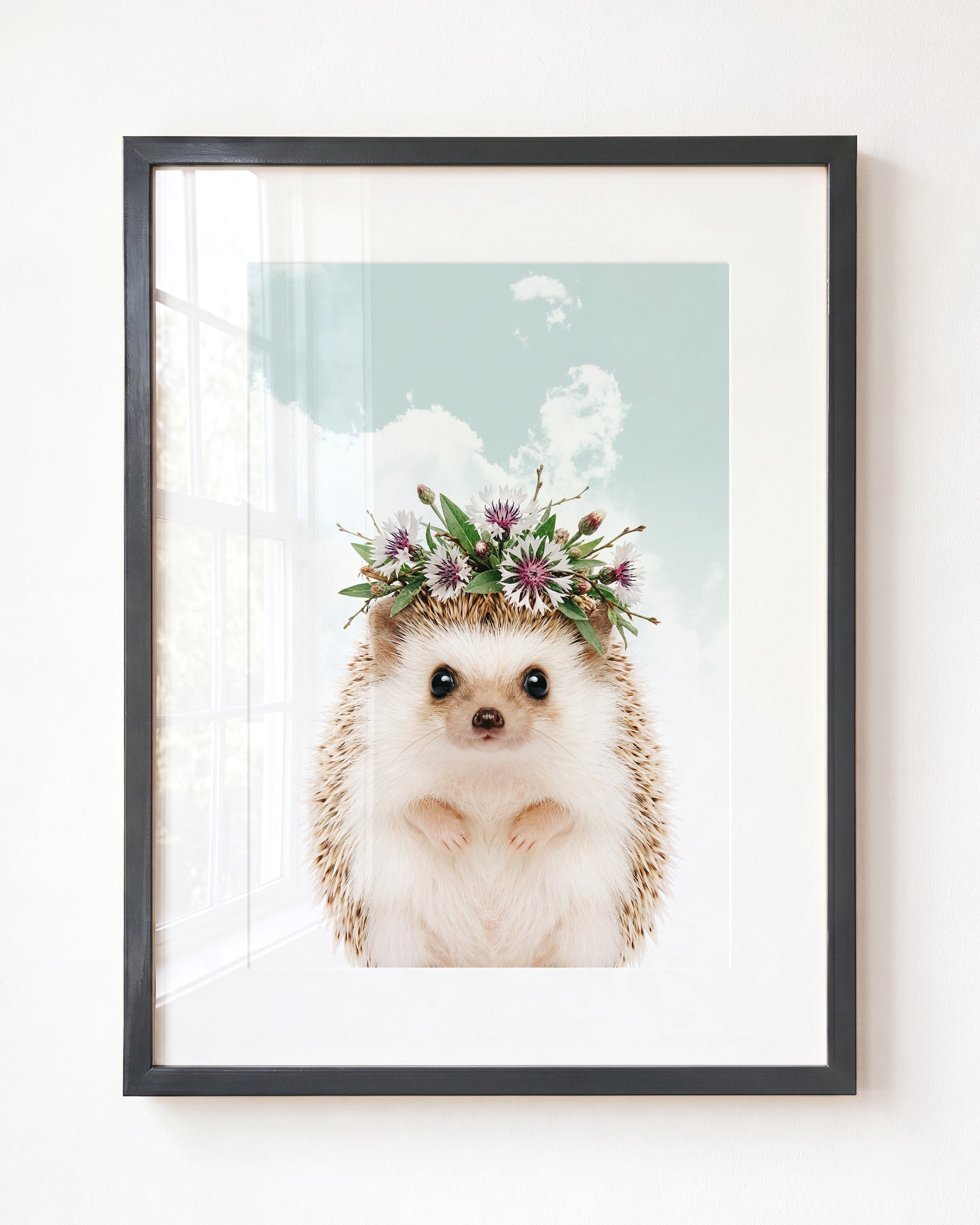 Baby Hedgehog