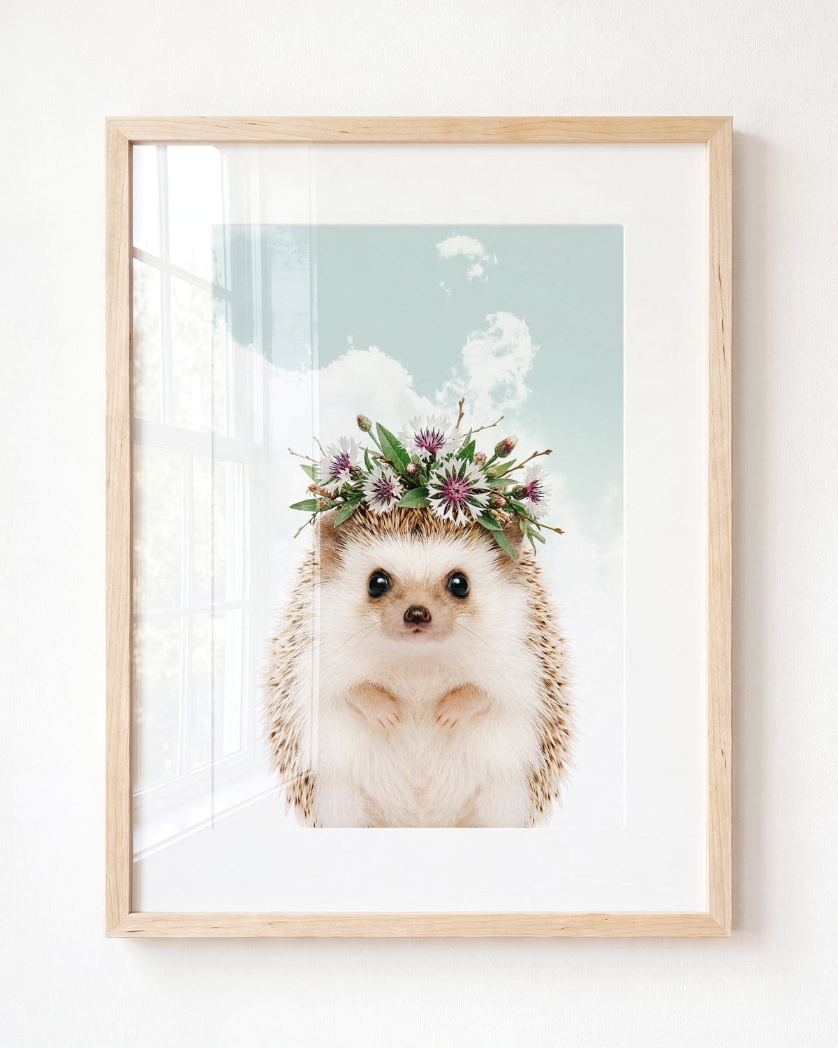 Baby Hedgehog