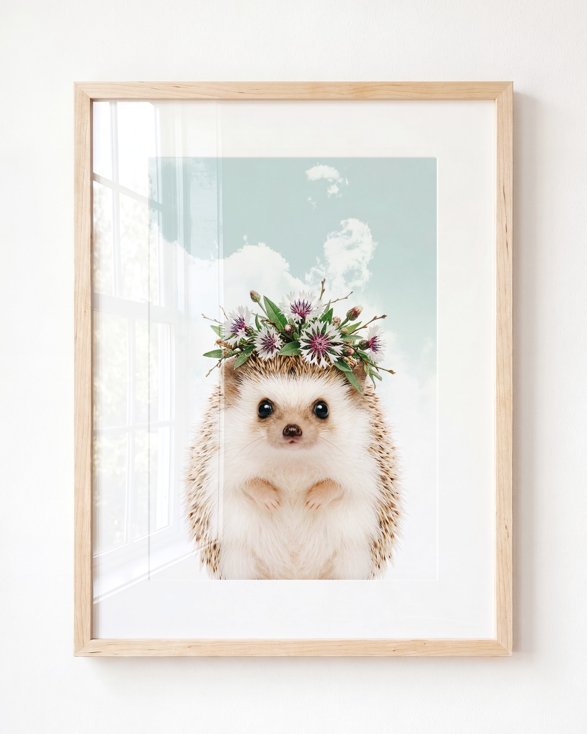 Baby Hedgehog