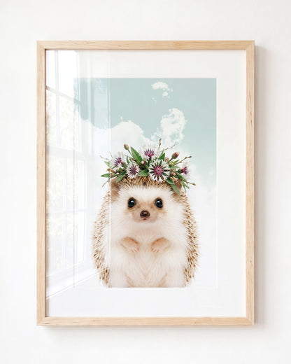 Baby Hedgehog