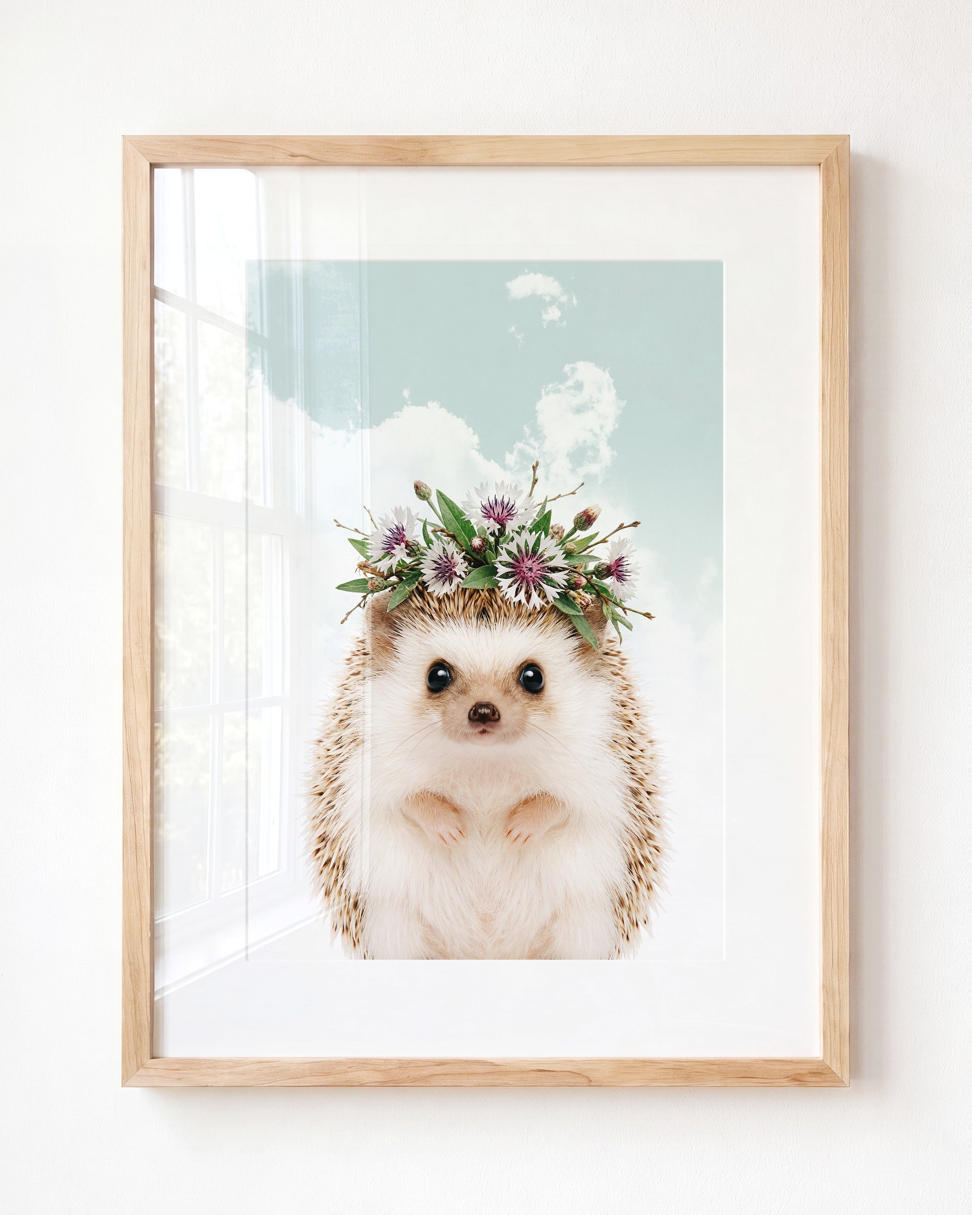 Baby Hedgehog
