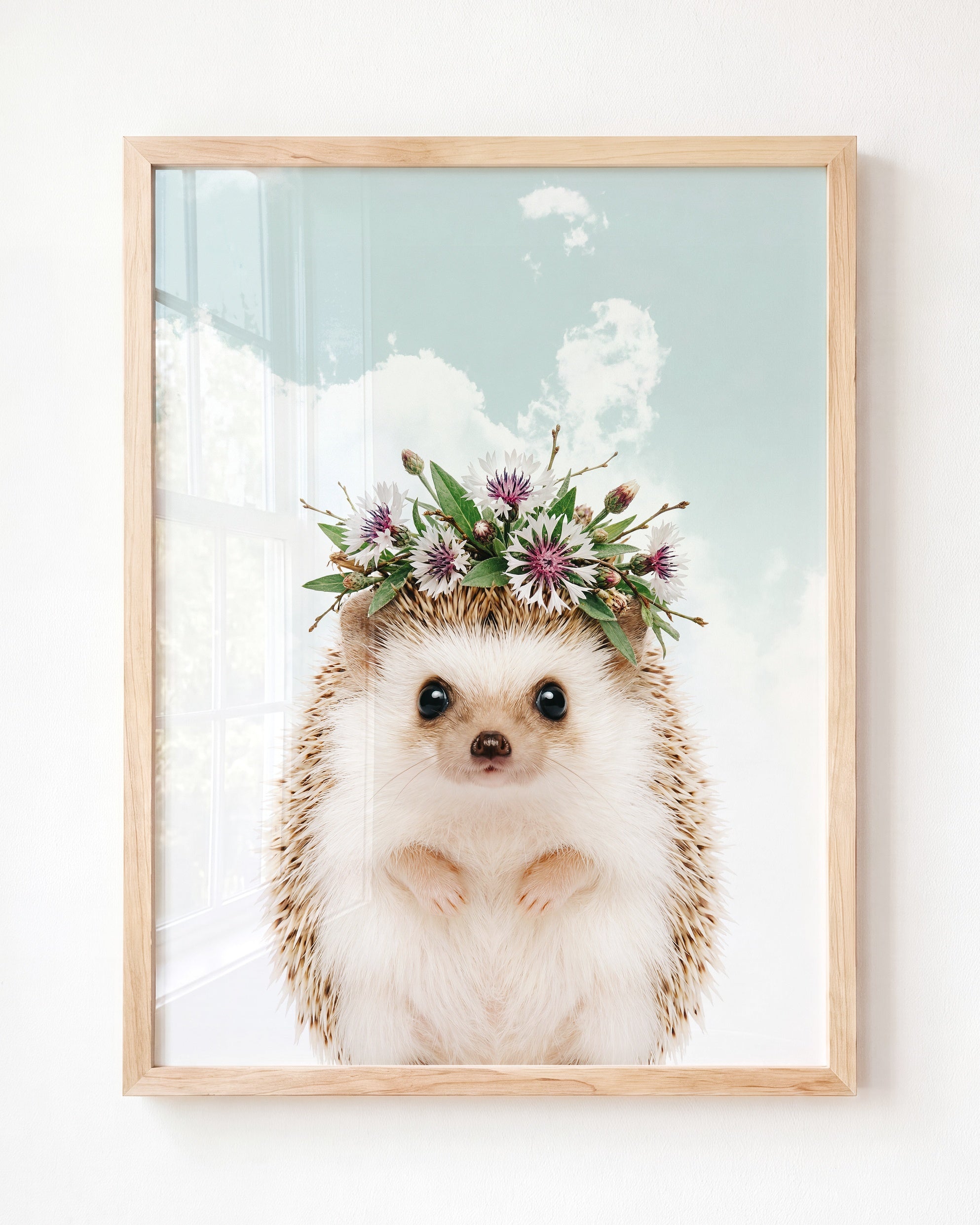 Baby Hedgehog
