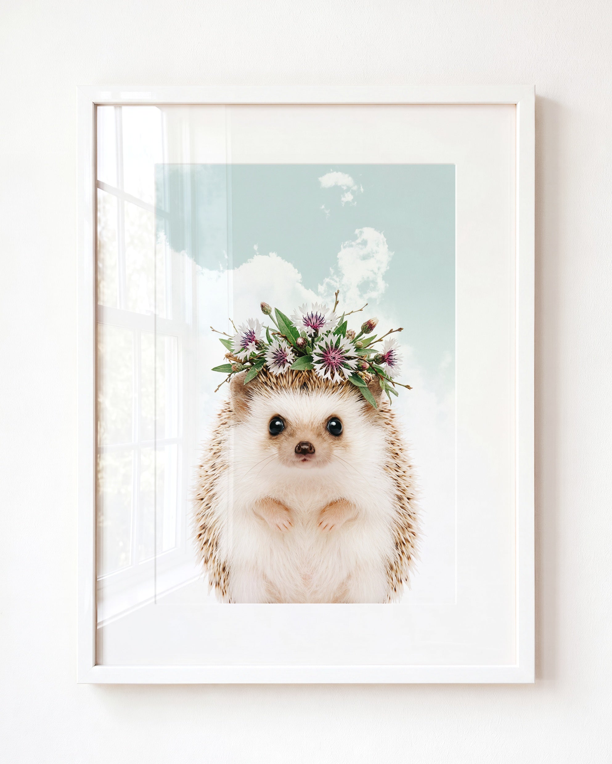 Baby Hedgehog