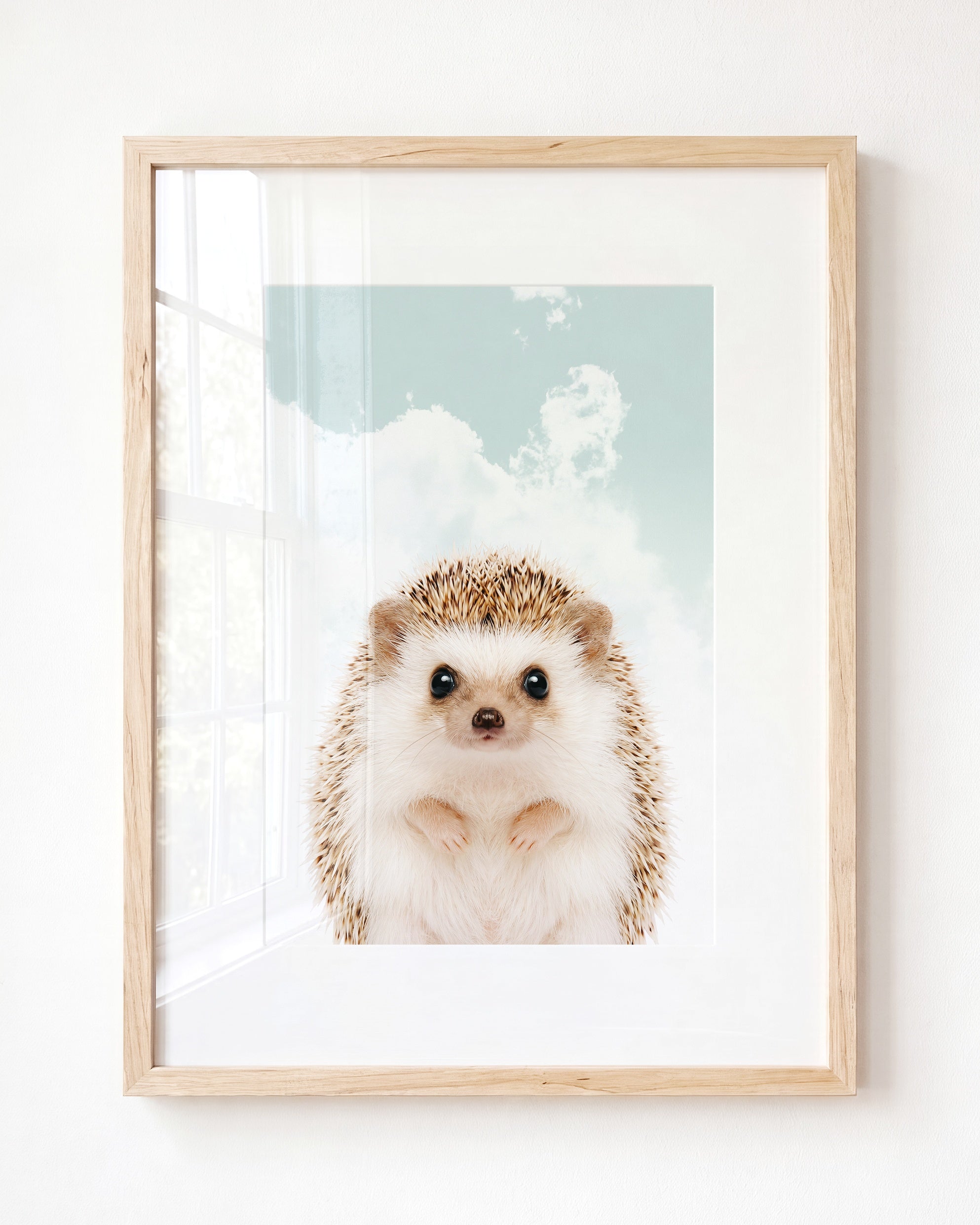 Baby Hedgehog
